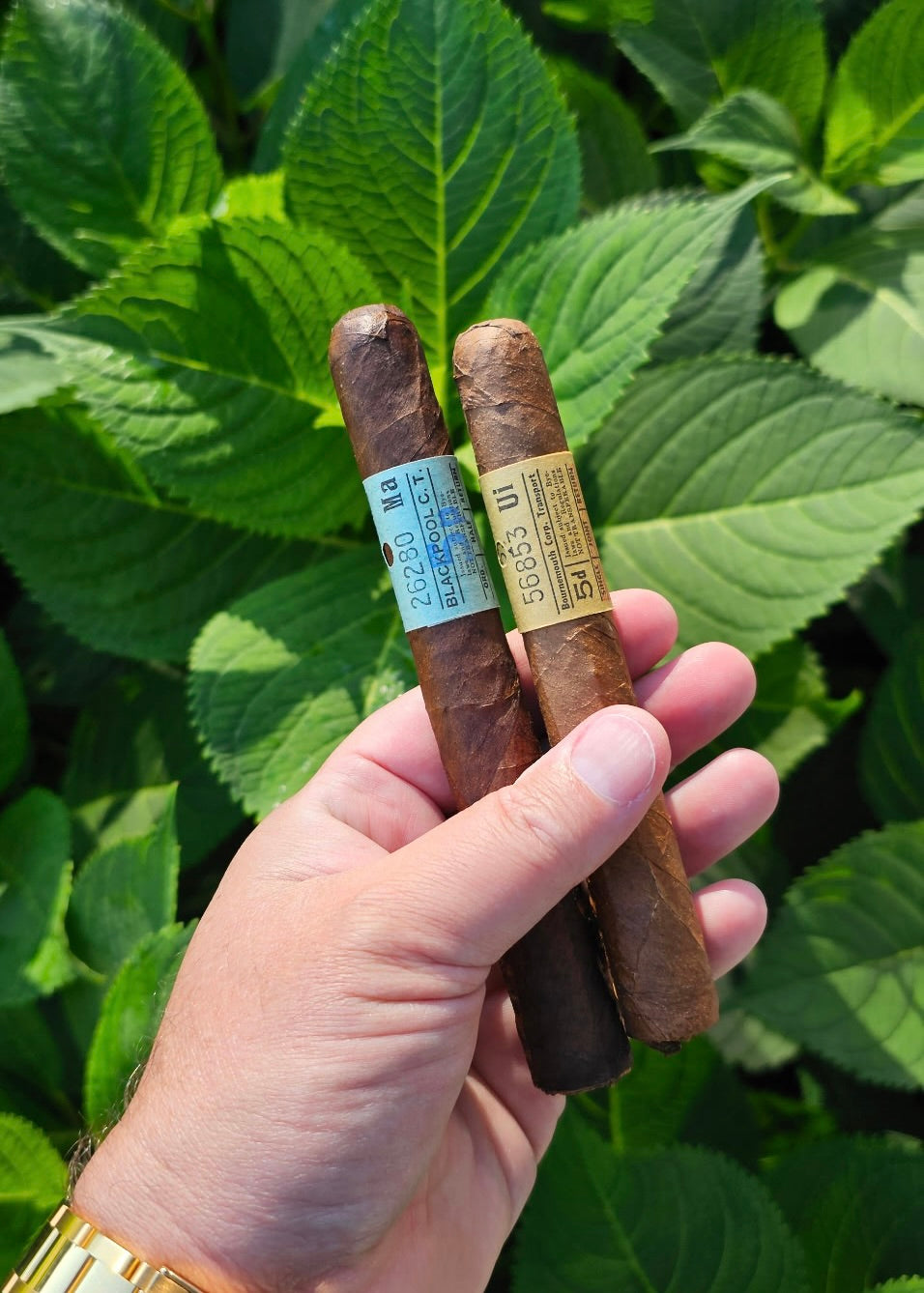 Principle Cigars - Straphanger