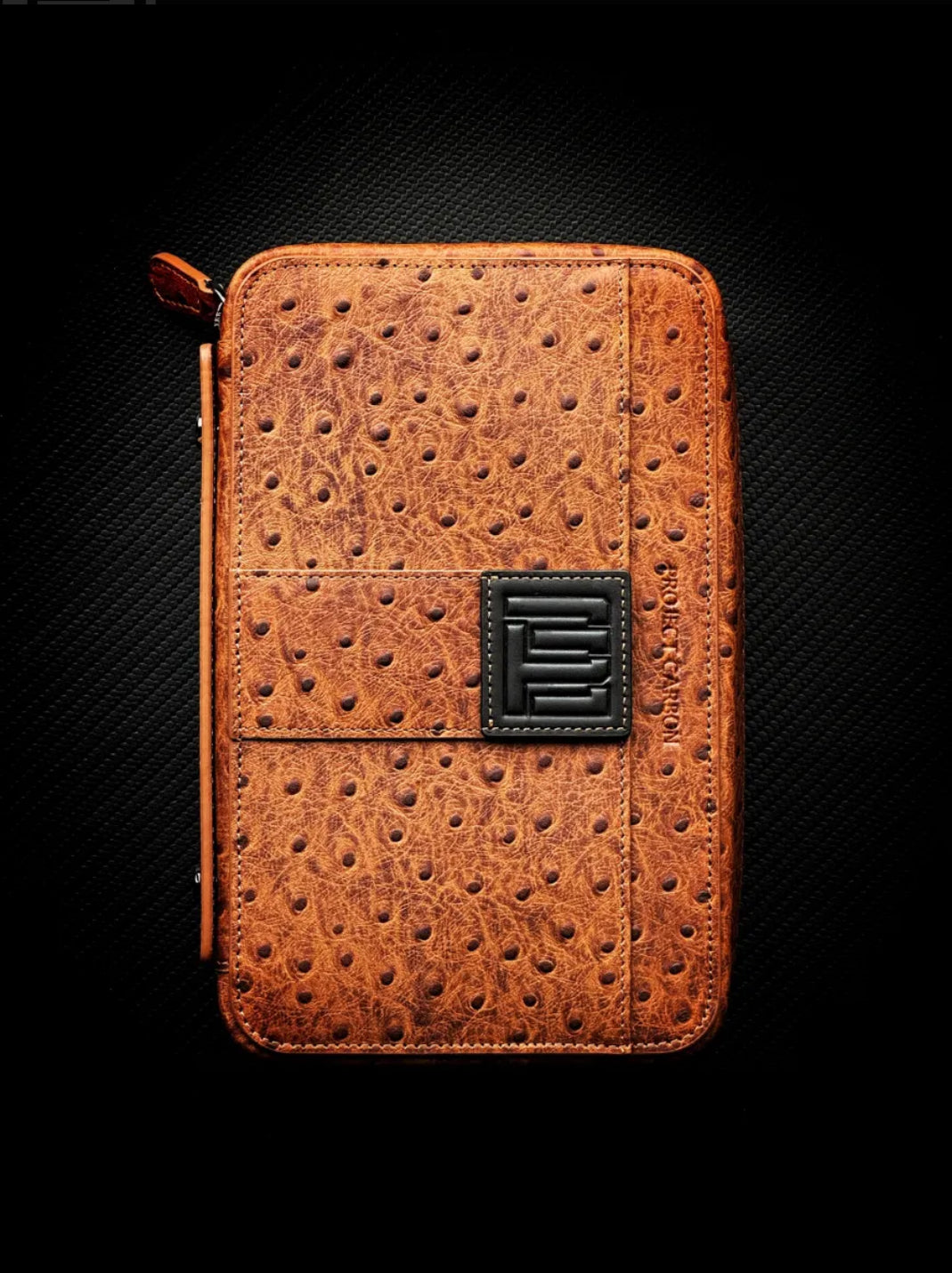 Project Carbon Travel Case