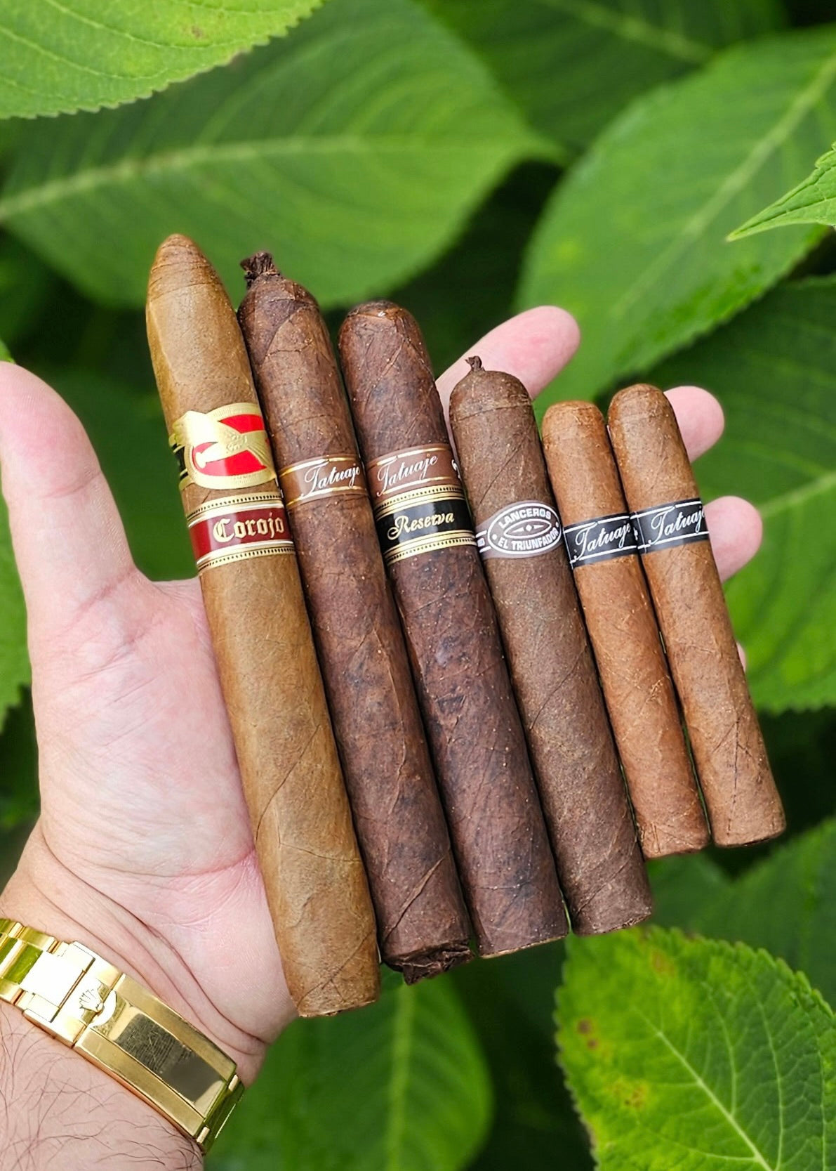 Tat Tuesday Sampler *MUMMY REDUX NUMBERED BOX GIVEAWAY*