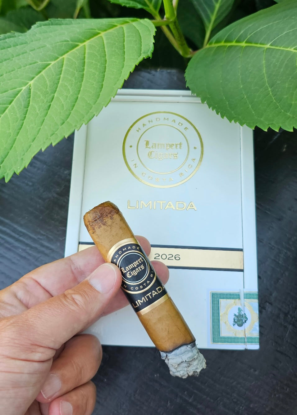 Lampert - Limitada 2026