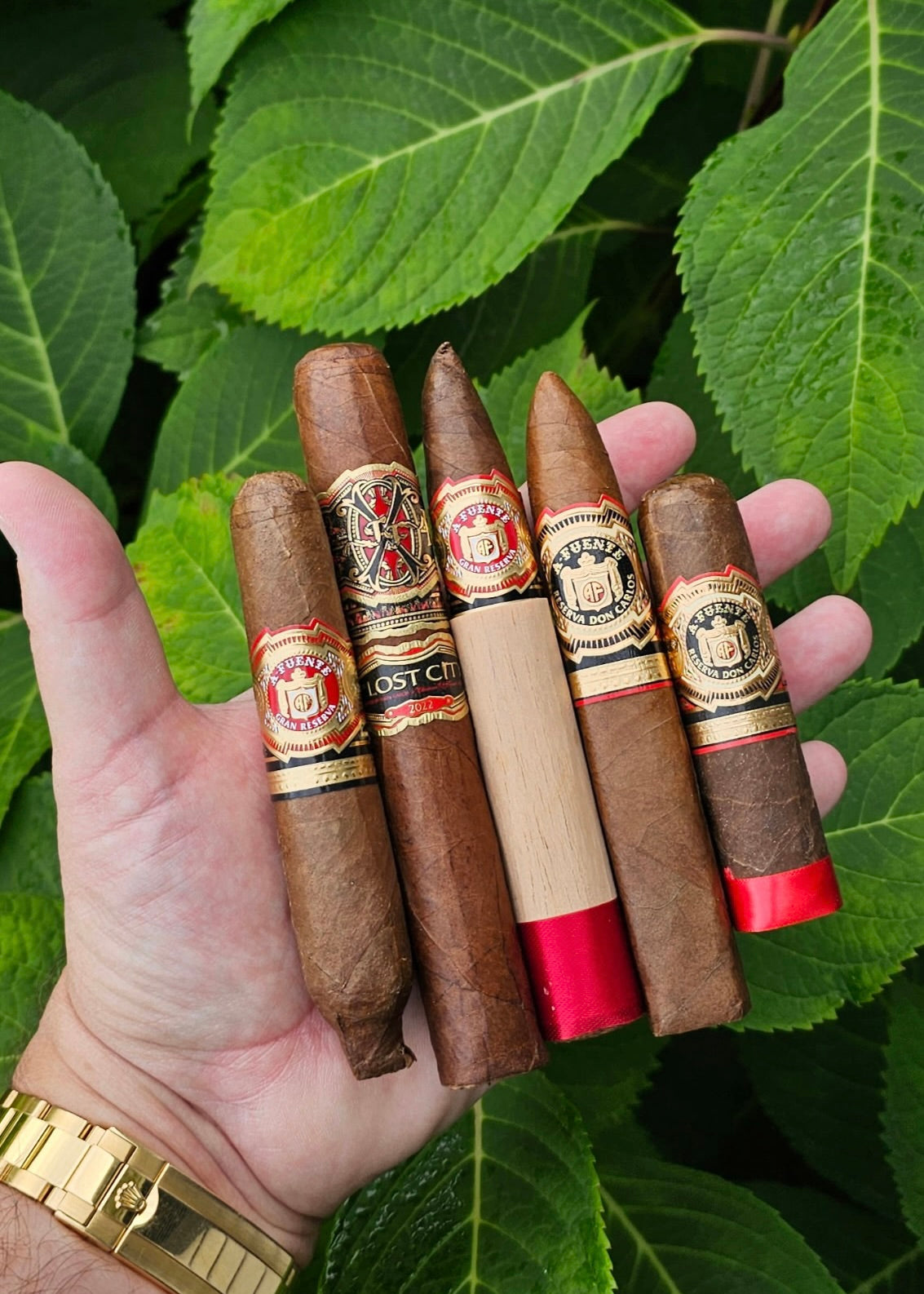 Fuente Sampler *Gold Ashtray/Story Giveaway