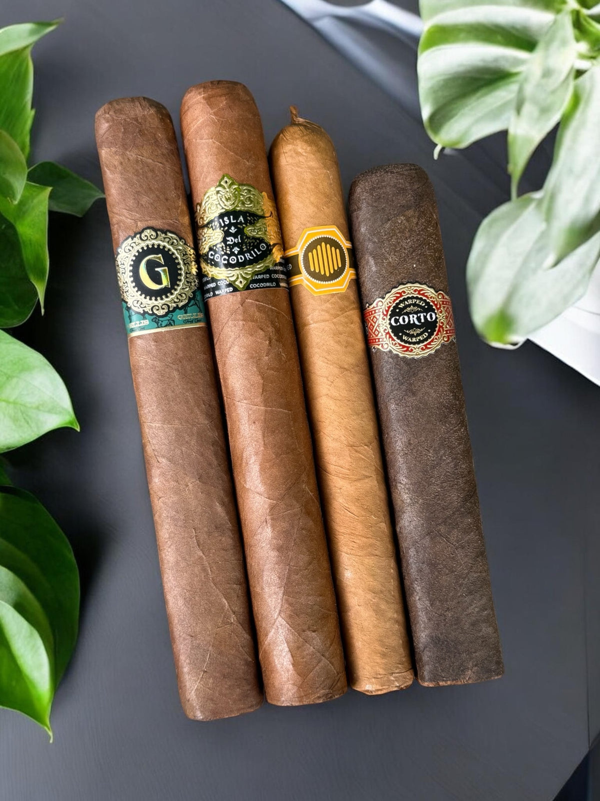 Warped Tasting Sampler
