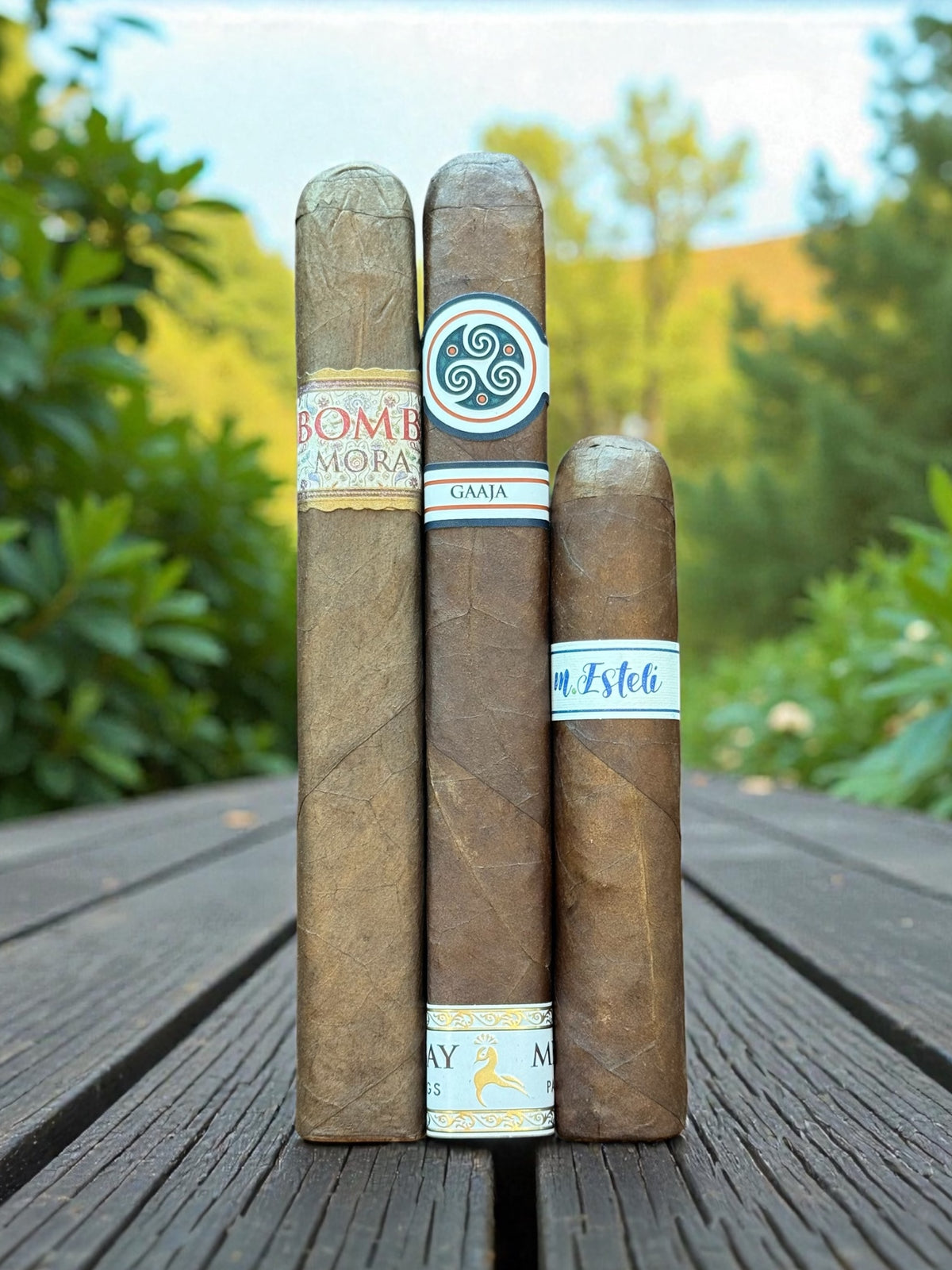 Mbombay “Dark” Tasting Sampler