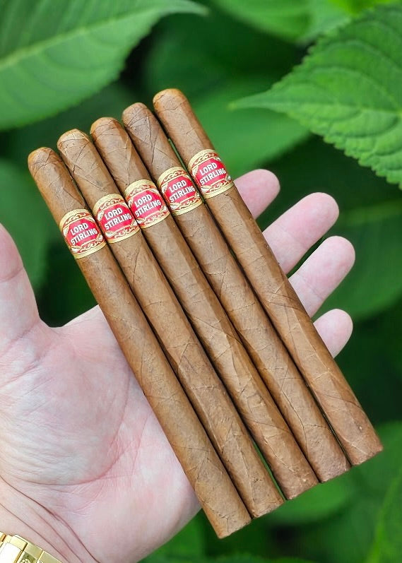 SLC Exclusive - Lord Stirling Habano Lancero LE 2025