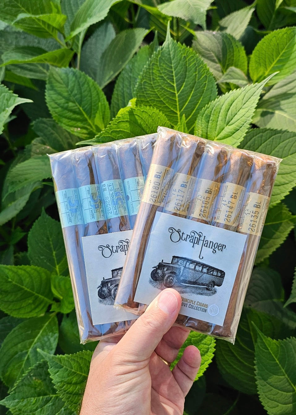 Principle Cigars - Straphanger