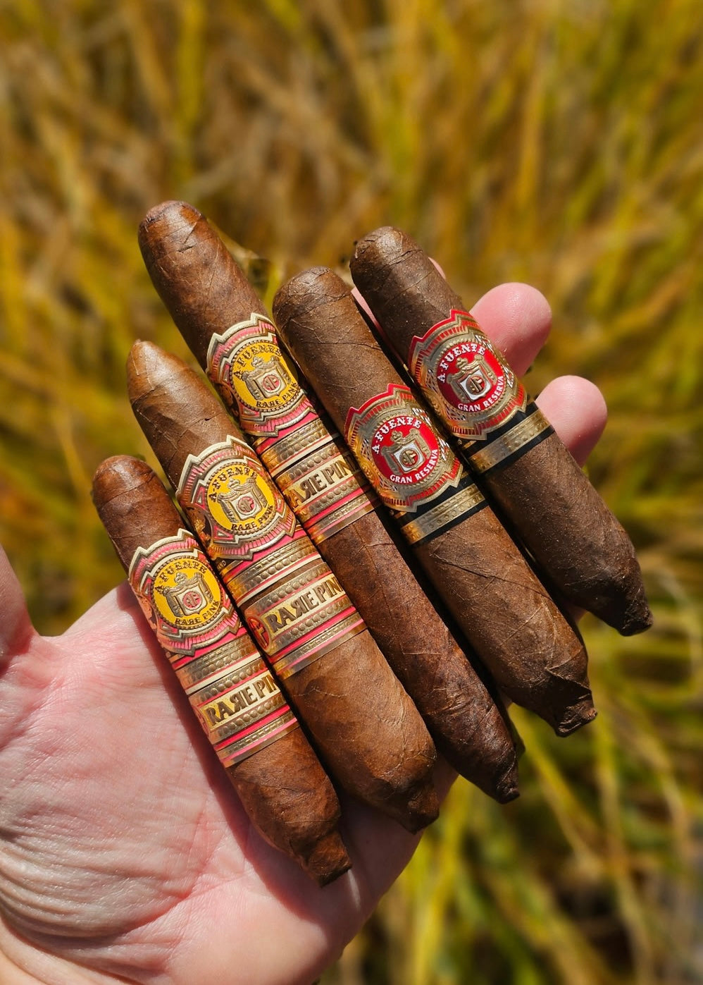 Arturo Fuente - Rare Pink Sampler