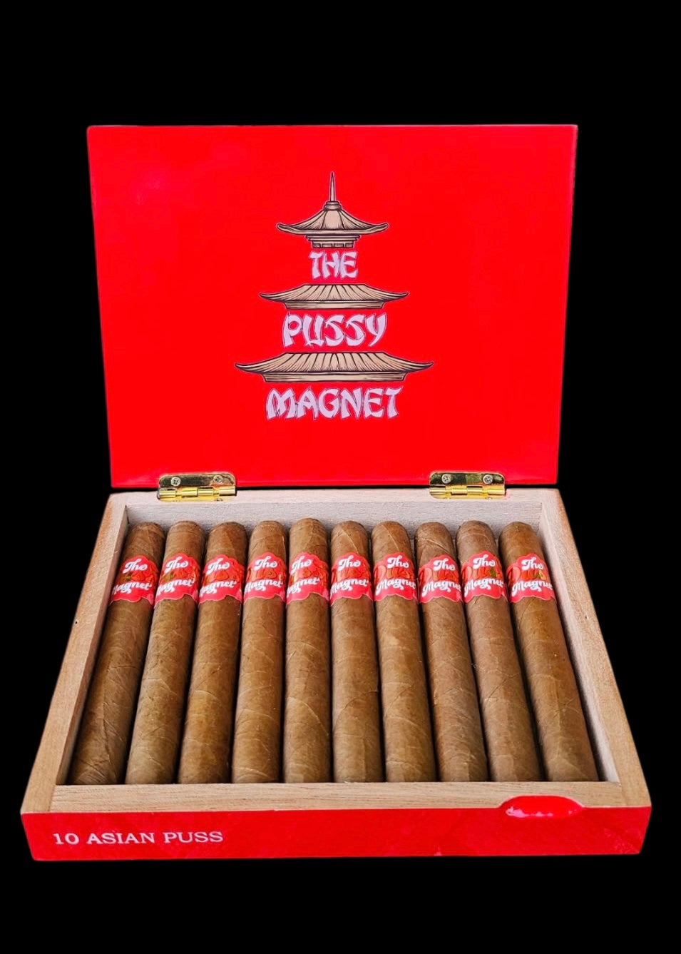 SLC Exclusive - The Pussy Magnet “Asian Puss”