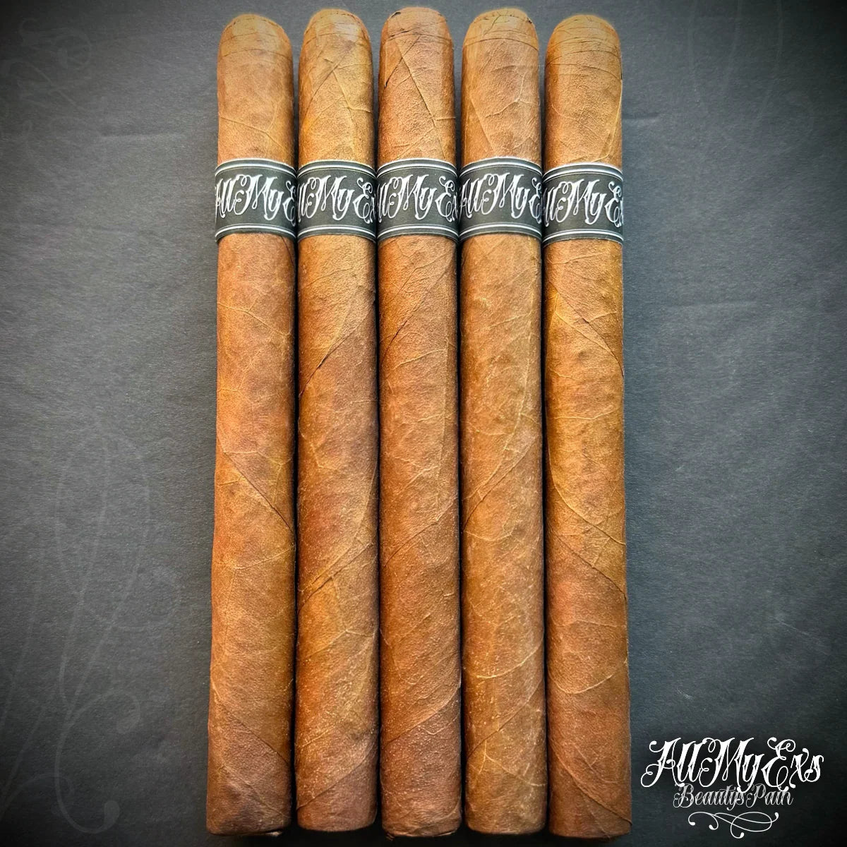 Ezra Zion/Nomad - All My Ex’s Beauty’s Pain