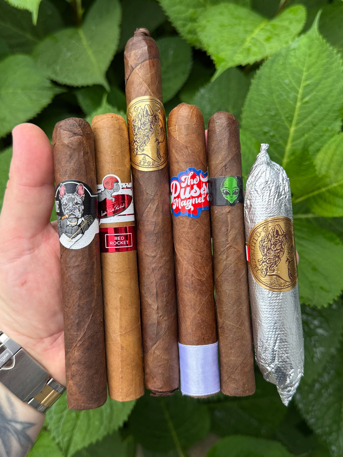 Sir Louis Tasting Sampler