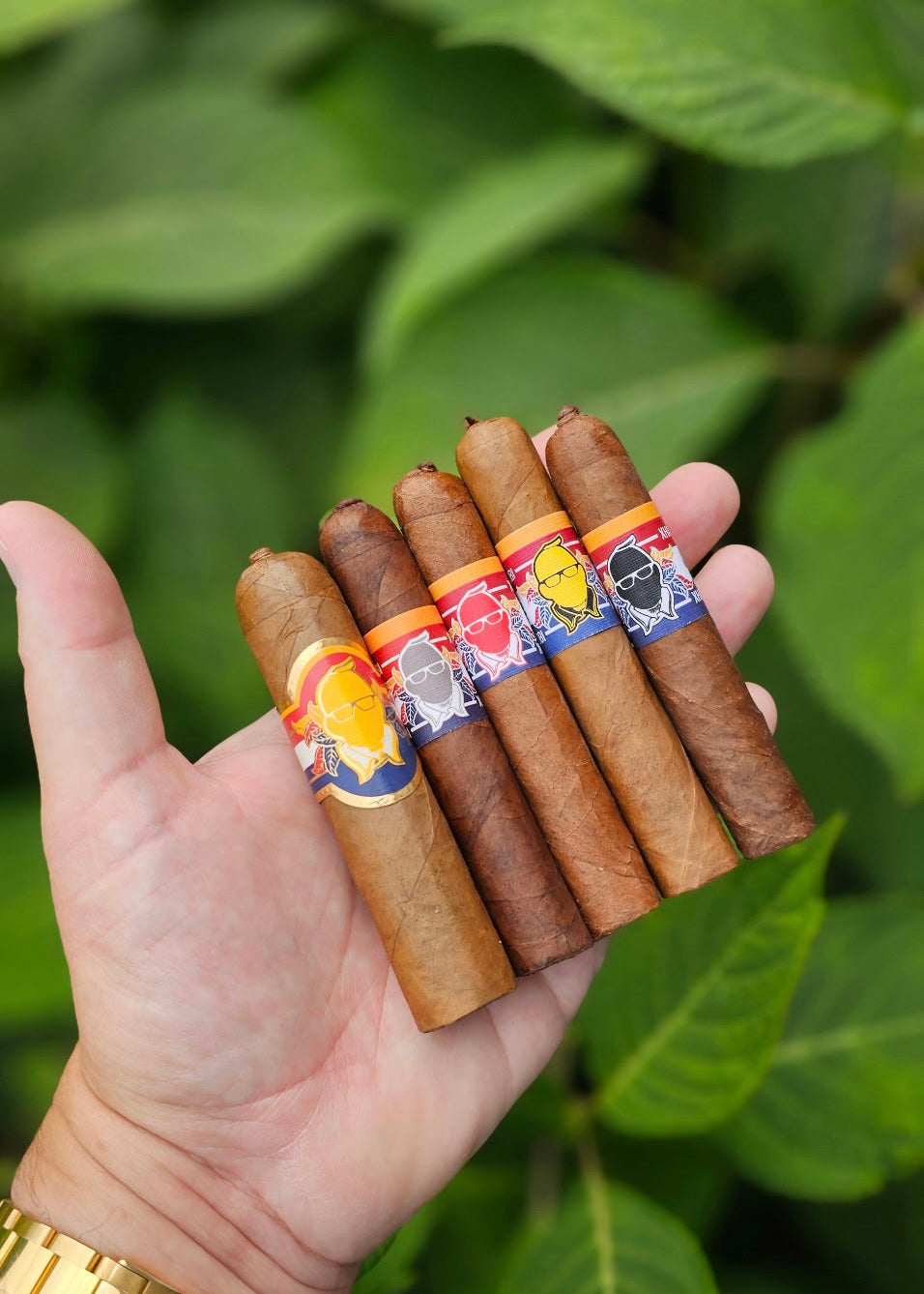 Xhaxhi Bobi - Breakfast Bobi Sampler