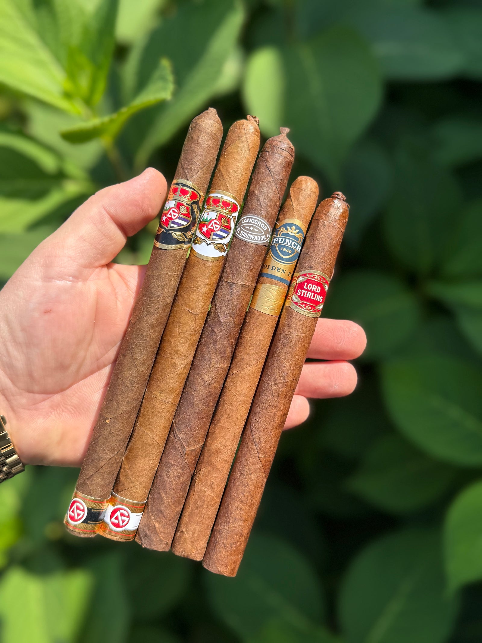 Lancero Sampler
