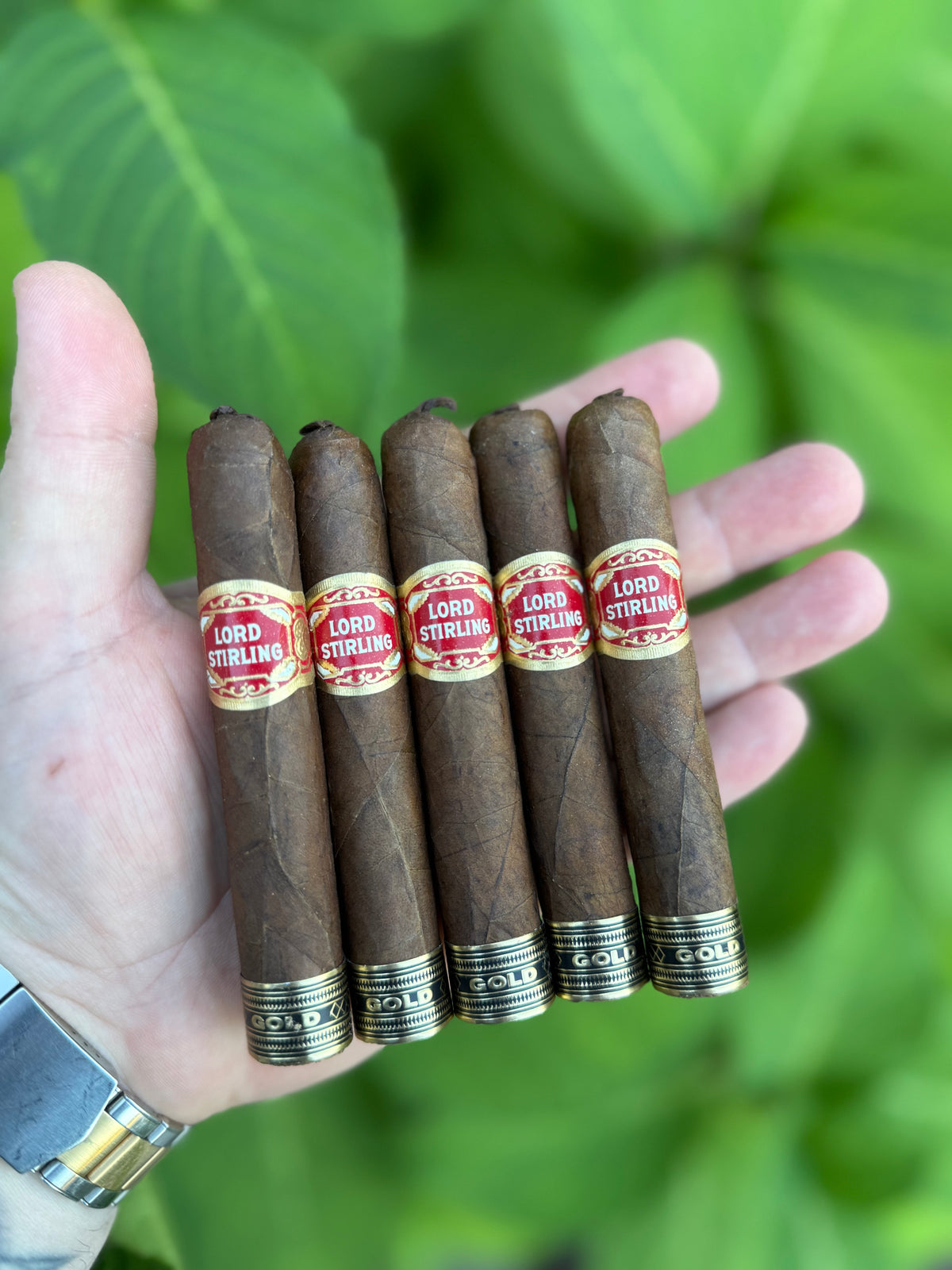 SLC Exclusive- Lord Stirling Gold Shorty