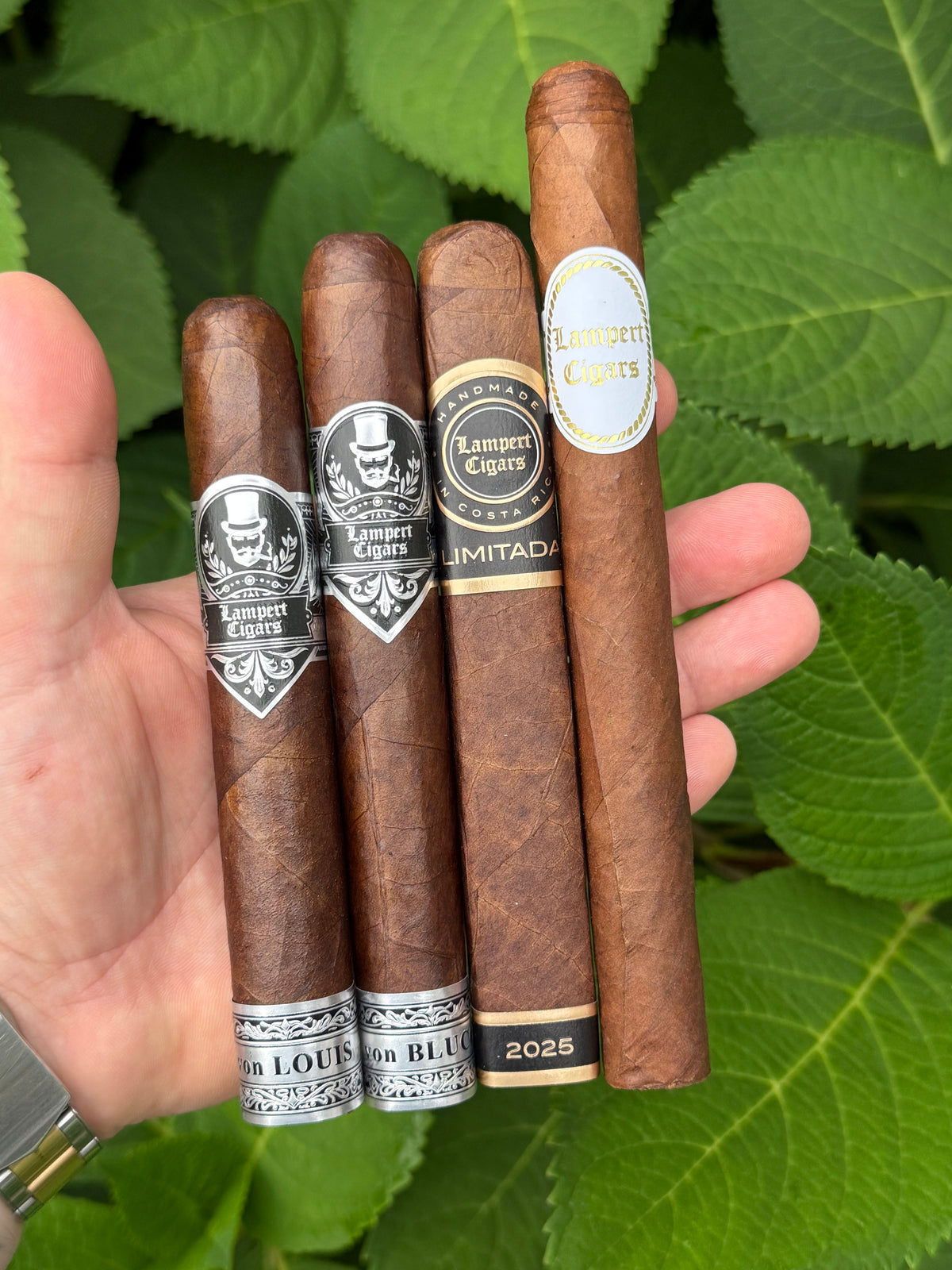 Lampert Limited Sampler