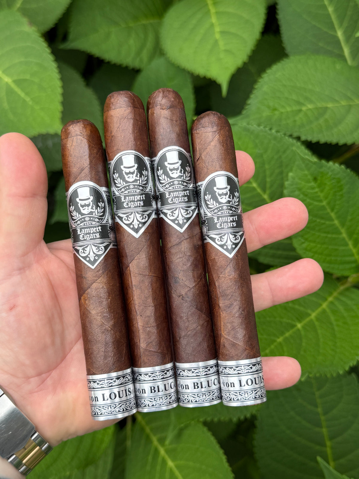 SLC x Lampert - von Blucci/von Louis Ash n Stash