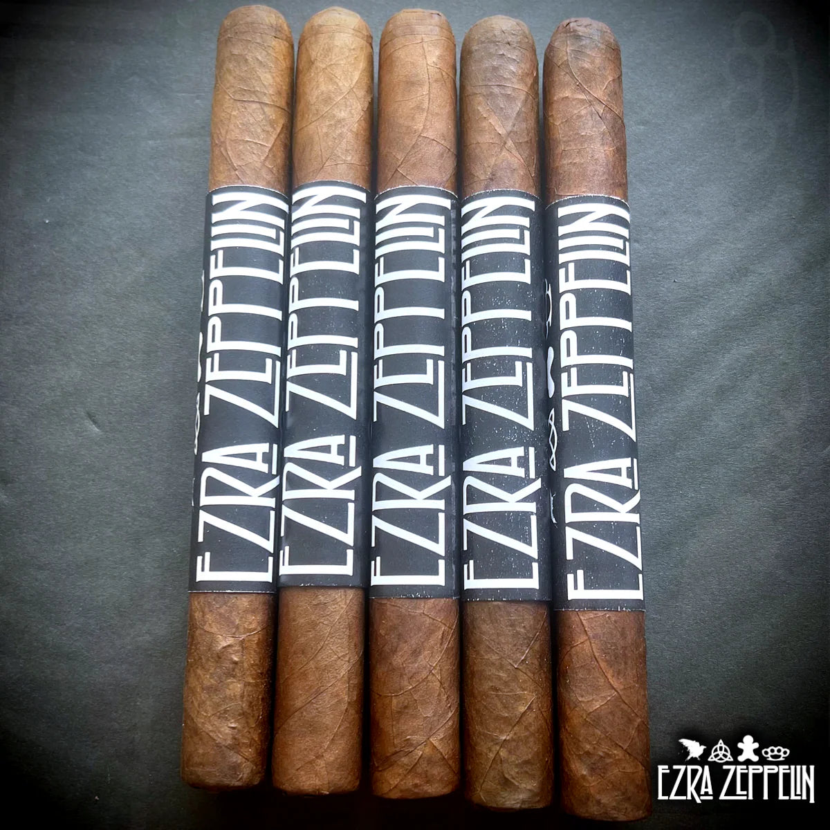 Ezra Zion/Nomad - EZRA ZEPPLIN XQ