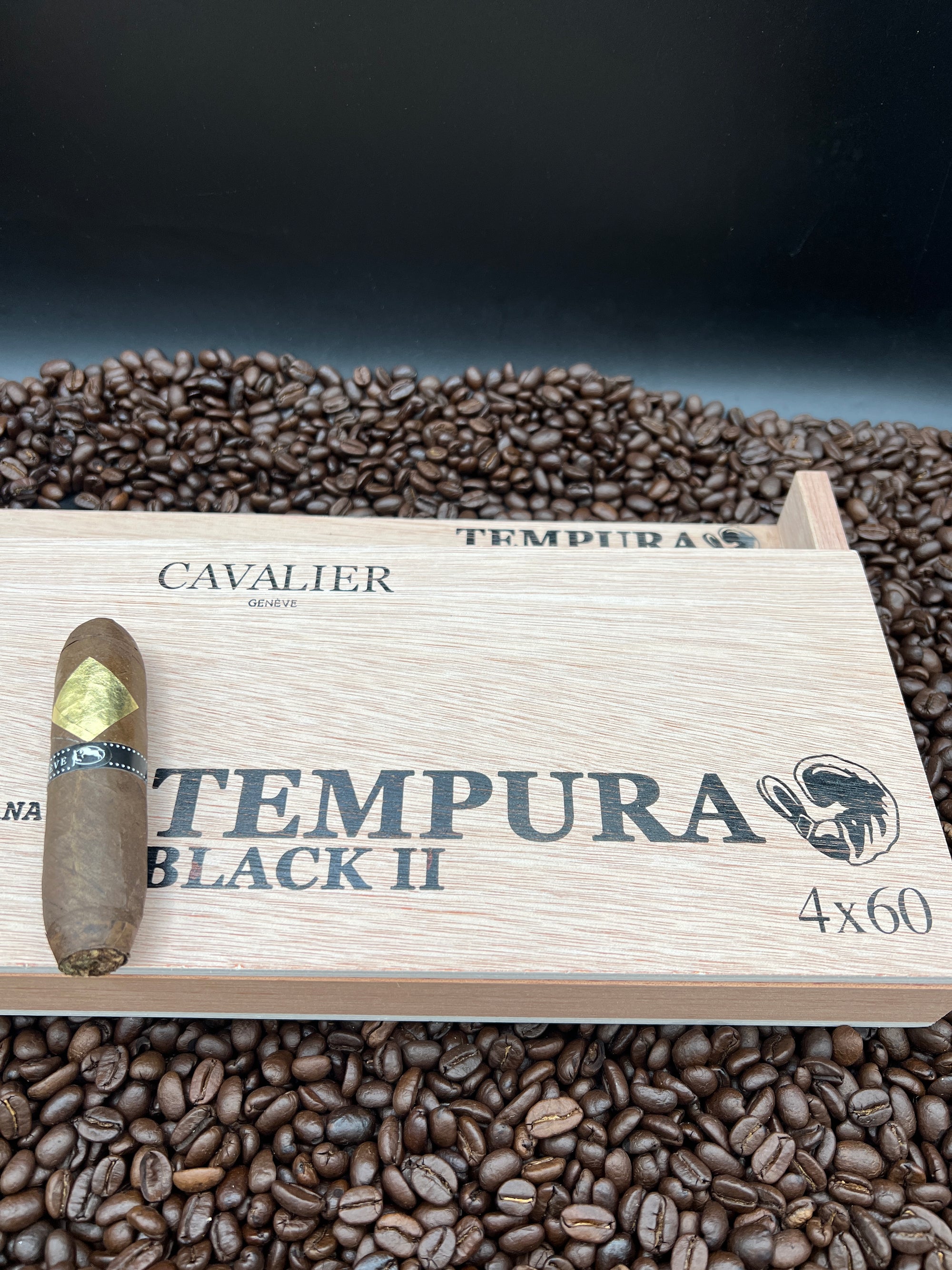 Cavalier - Tempura Black