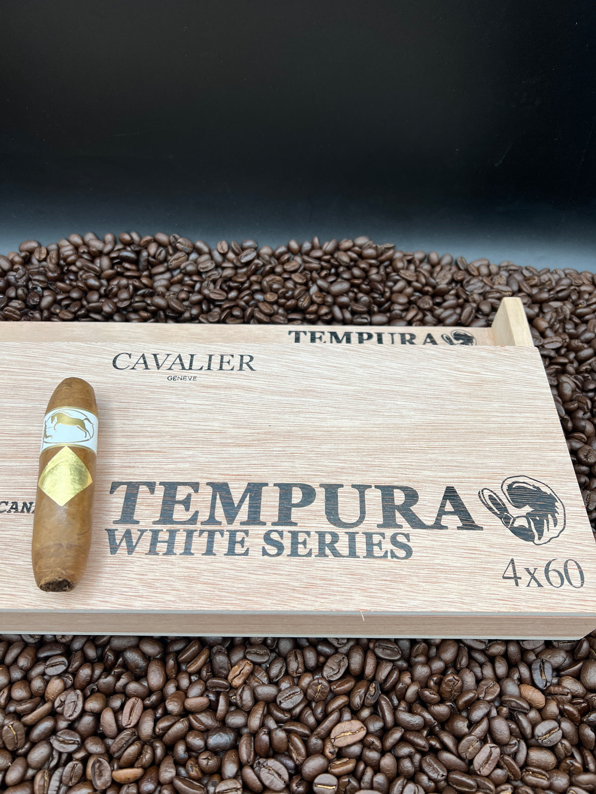 Cavalier - Tempura White Series