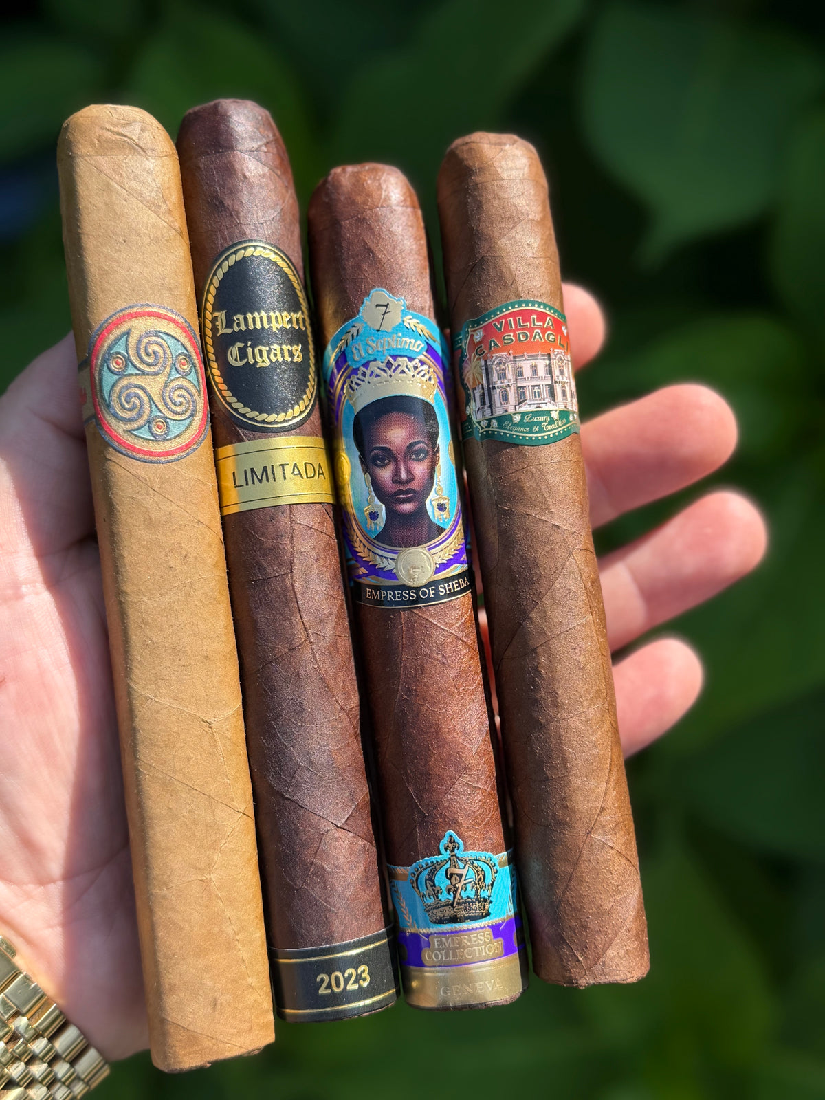 Costa Rica Connoisseur Sampler