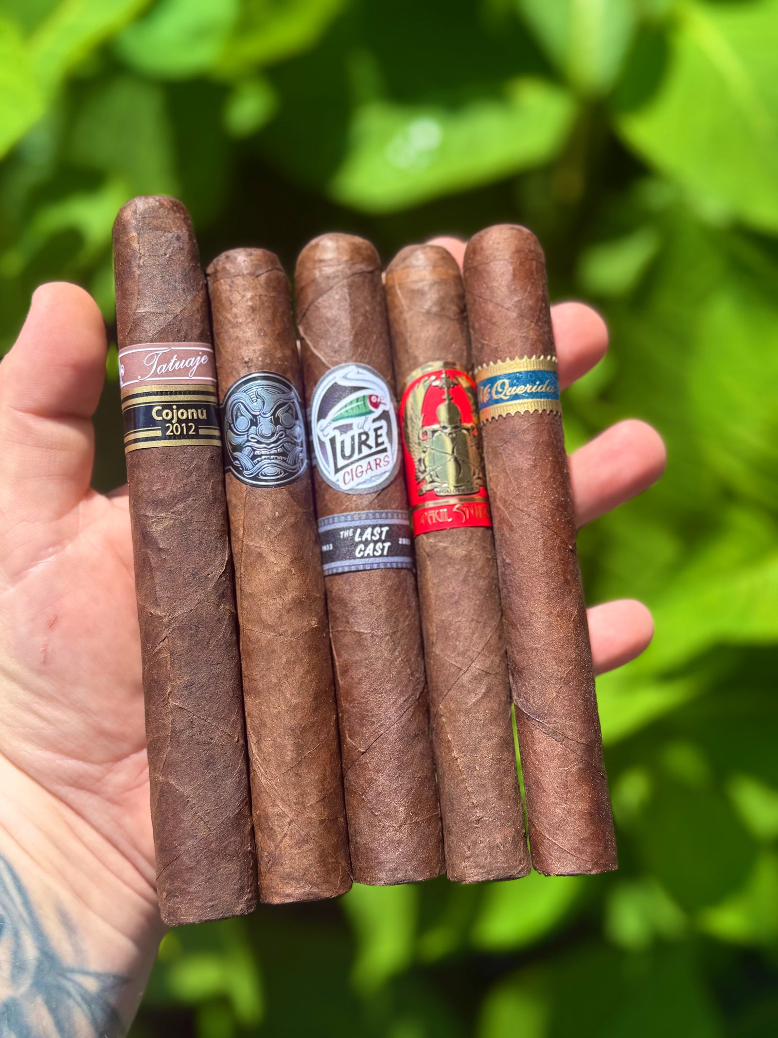 Broadleaf Lovers Sampler