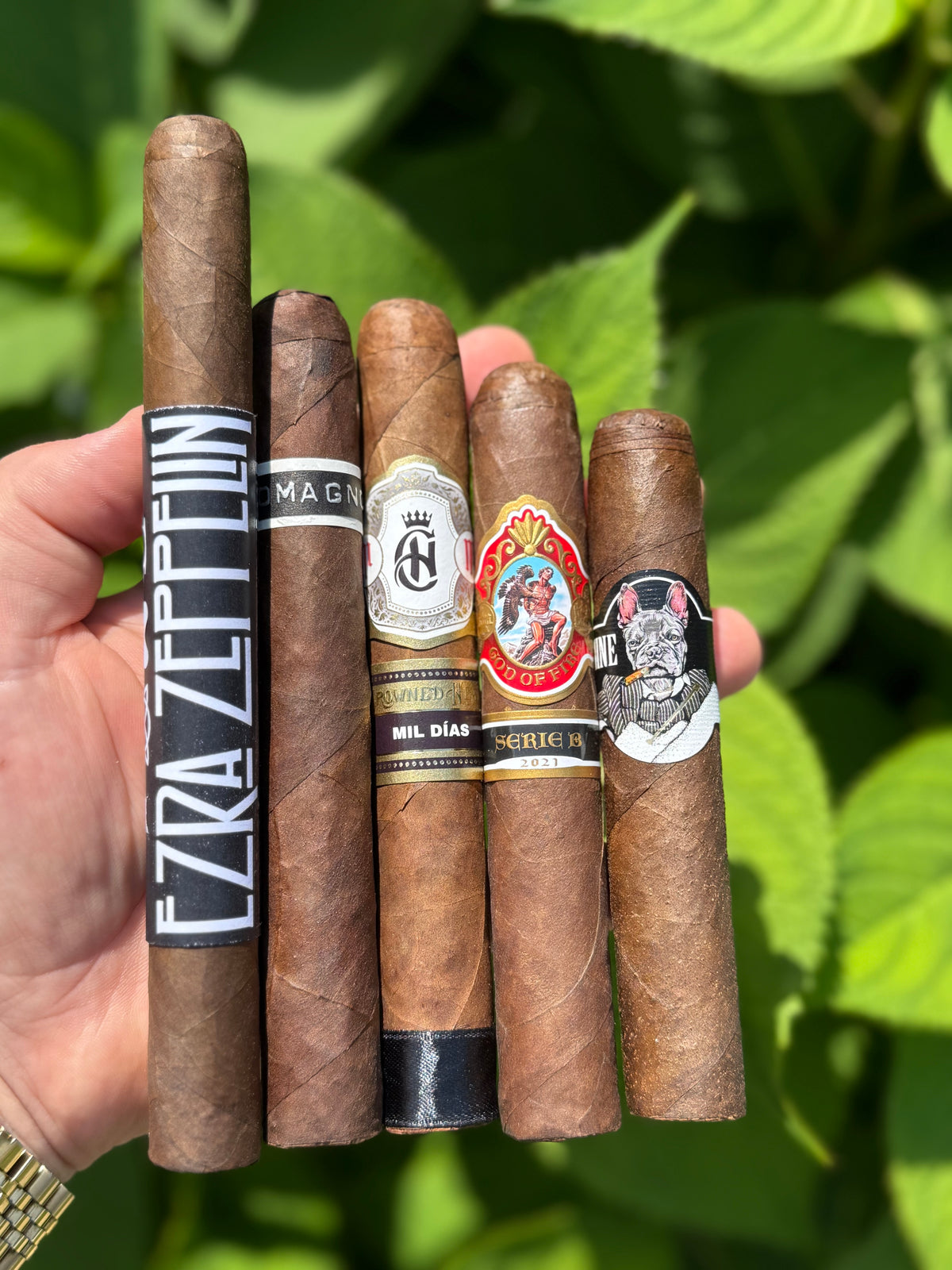 Maduro Monday 2.0