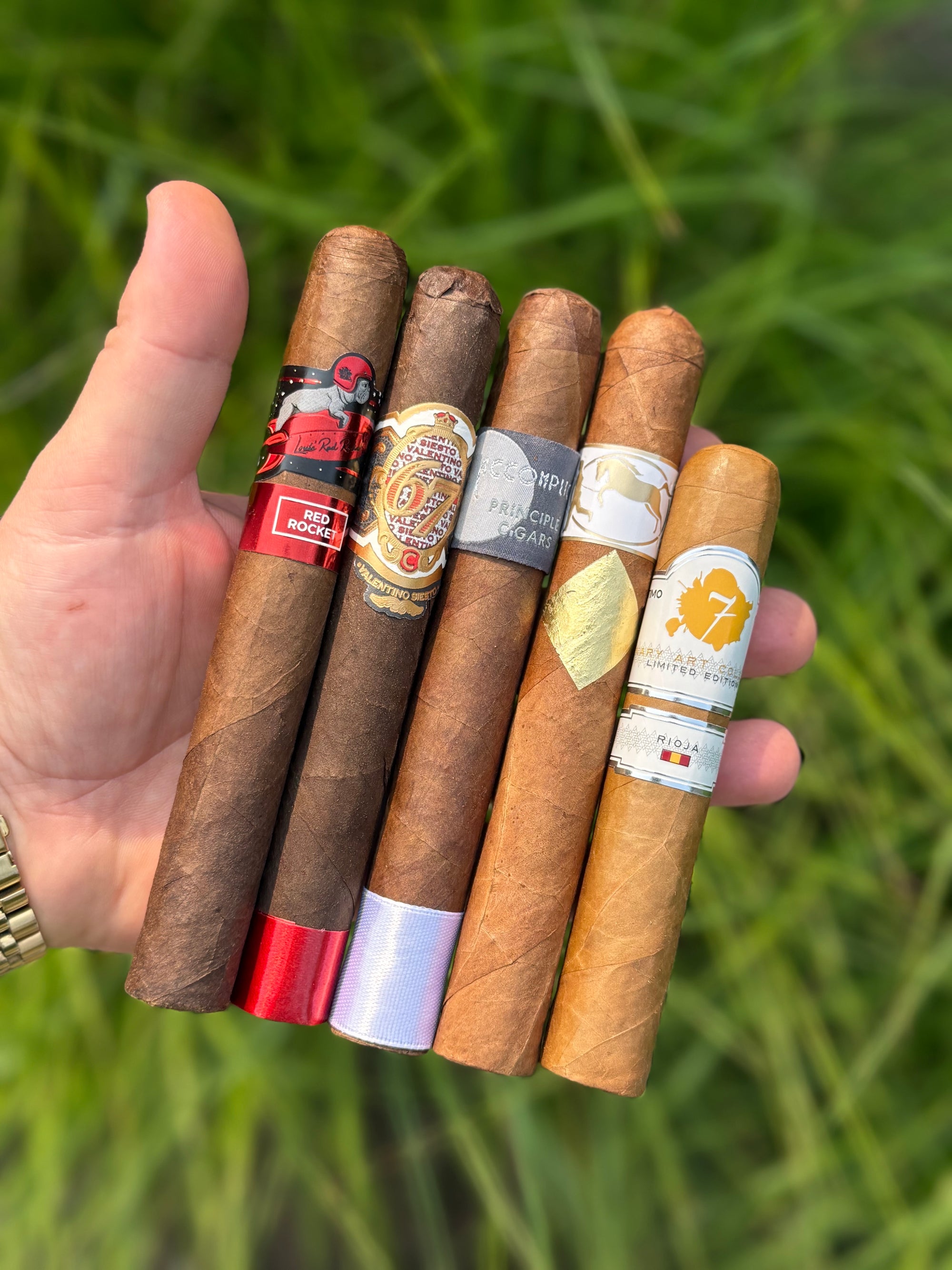 Boutique Beginner Sampler