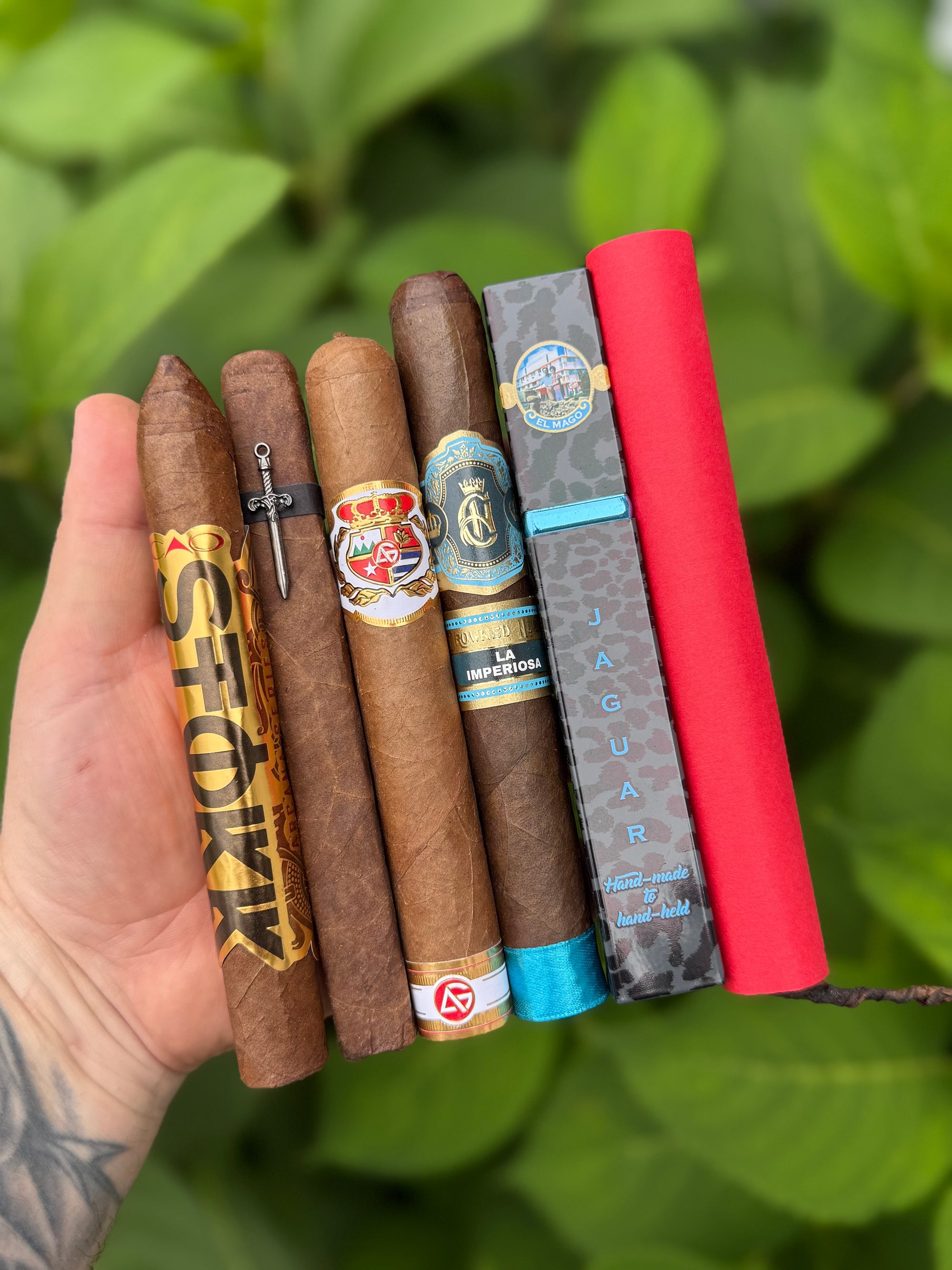 What's New Sampler