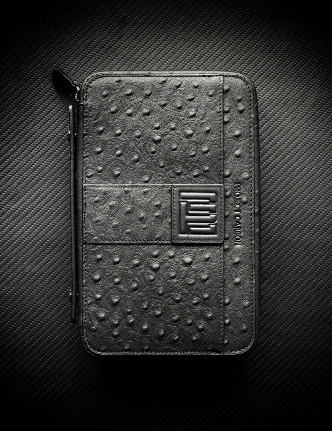 Project Carbon Travel Case