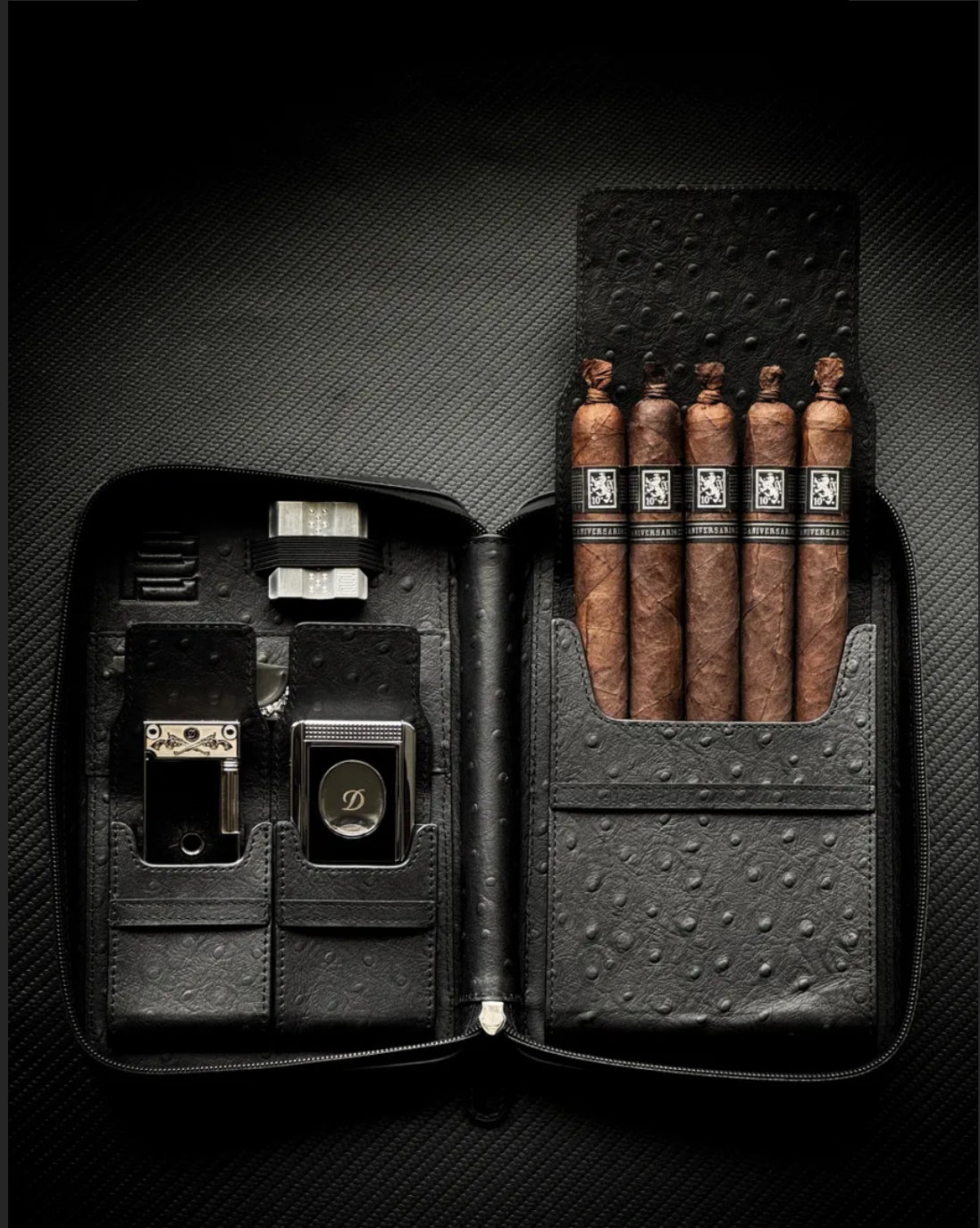 Project Carbon Travel Case