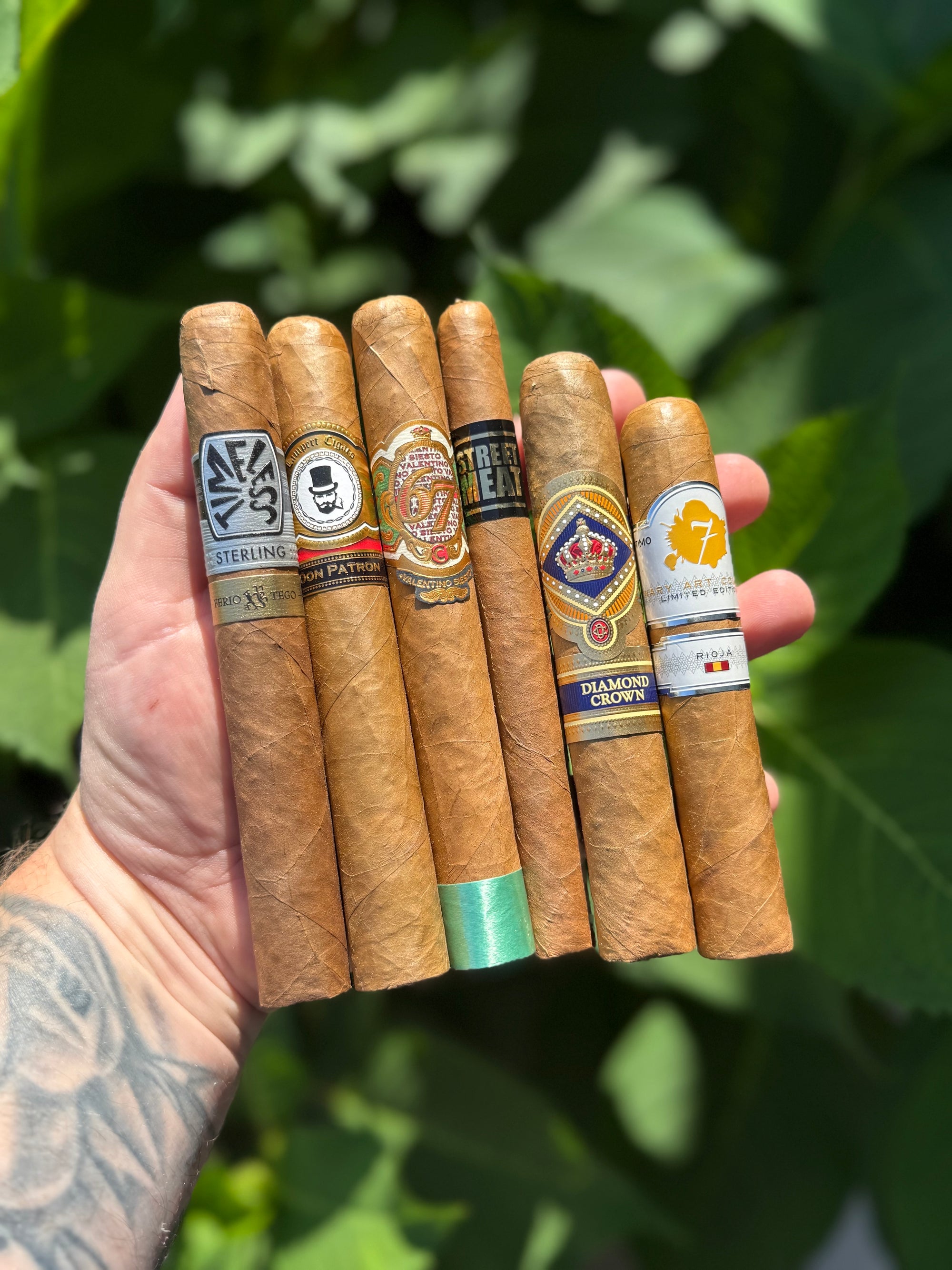 Connecticut Lovers Sampler 2.0