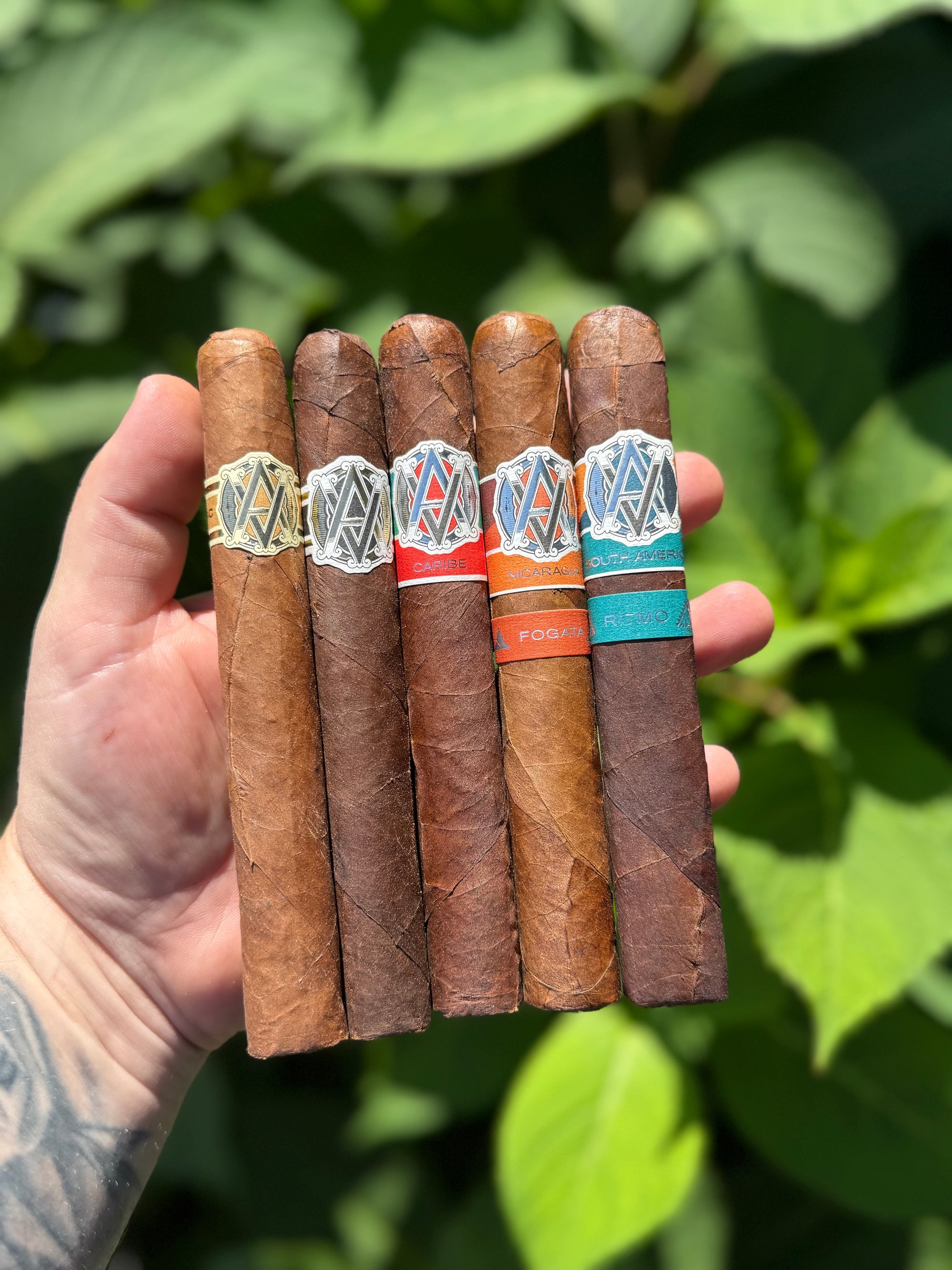 AVO Tasting Sampler