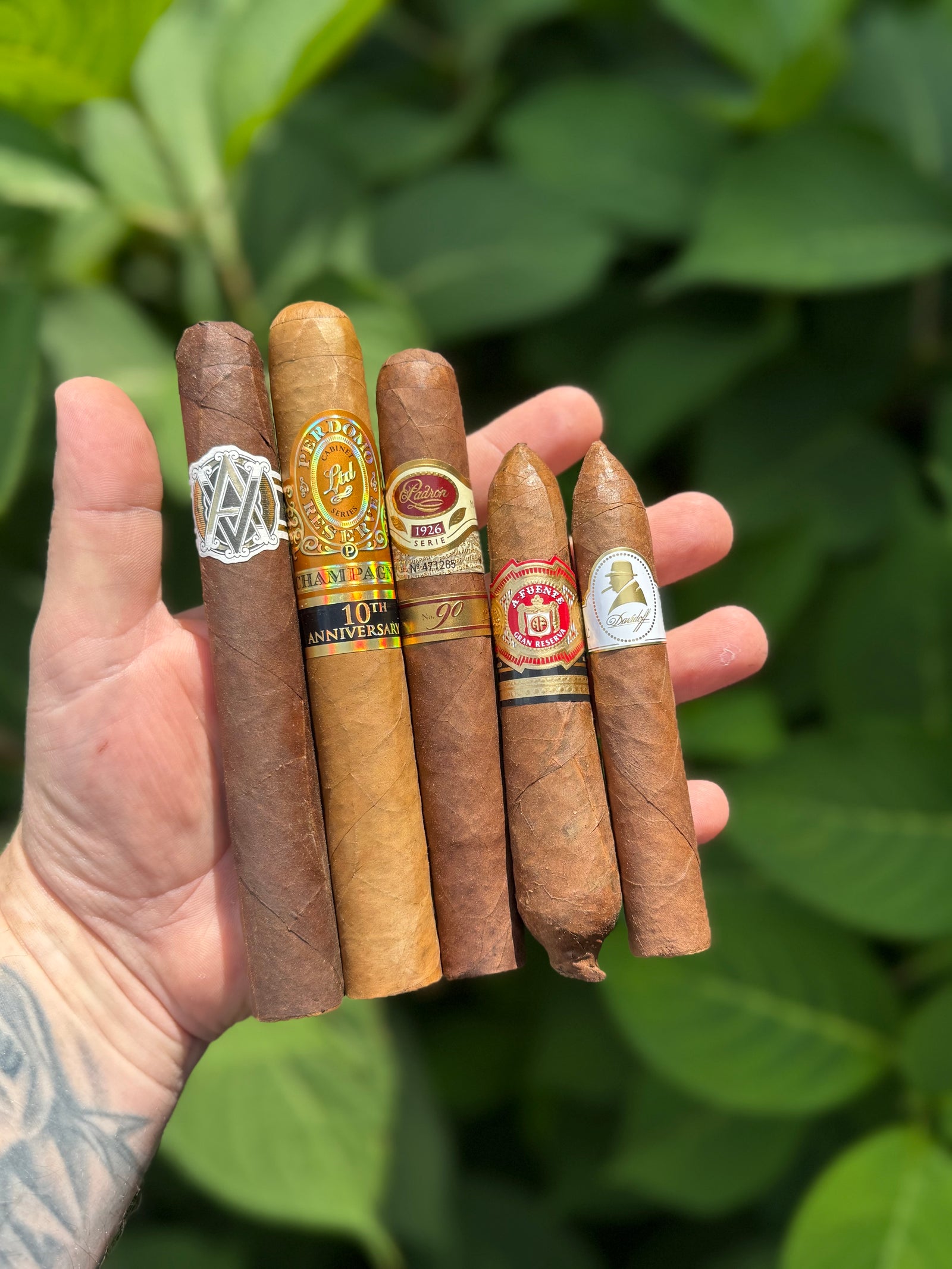 Legacy Lovers Sampler
