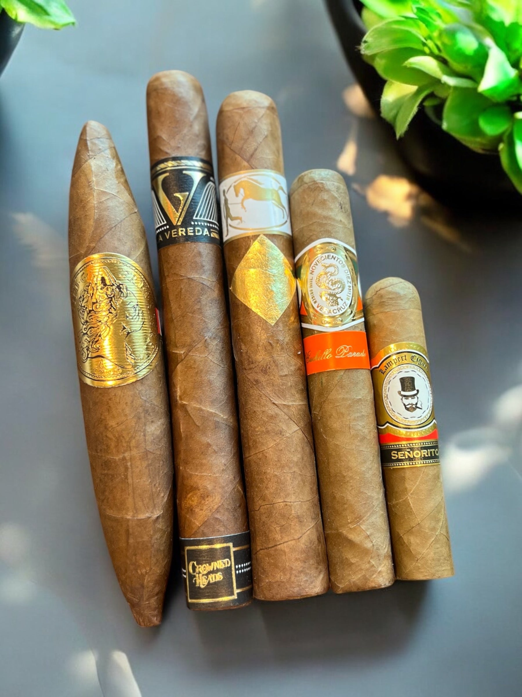 Cubanesque Sampler