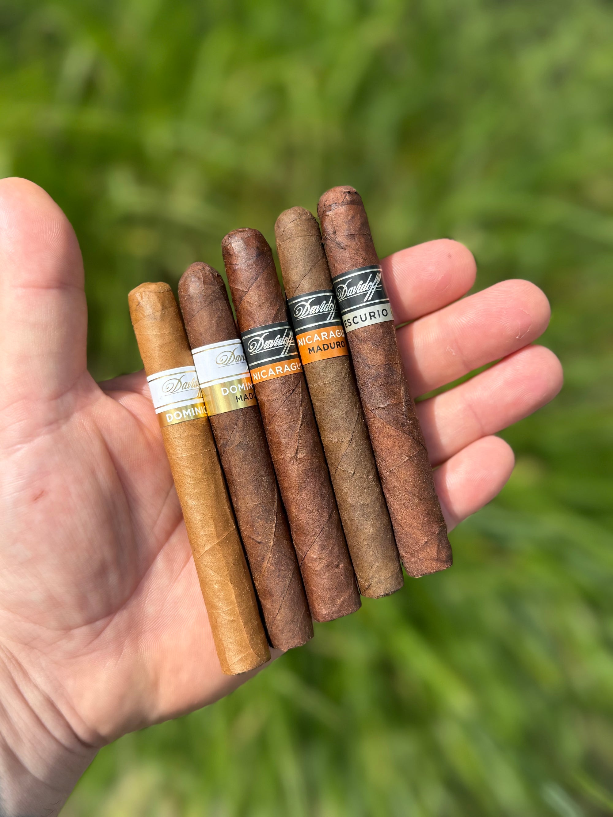 Davidoff Primeros Sampler