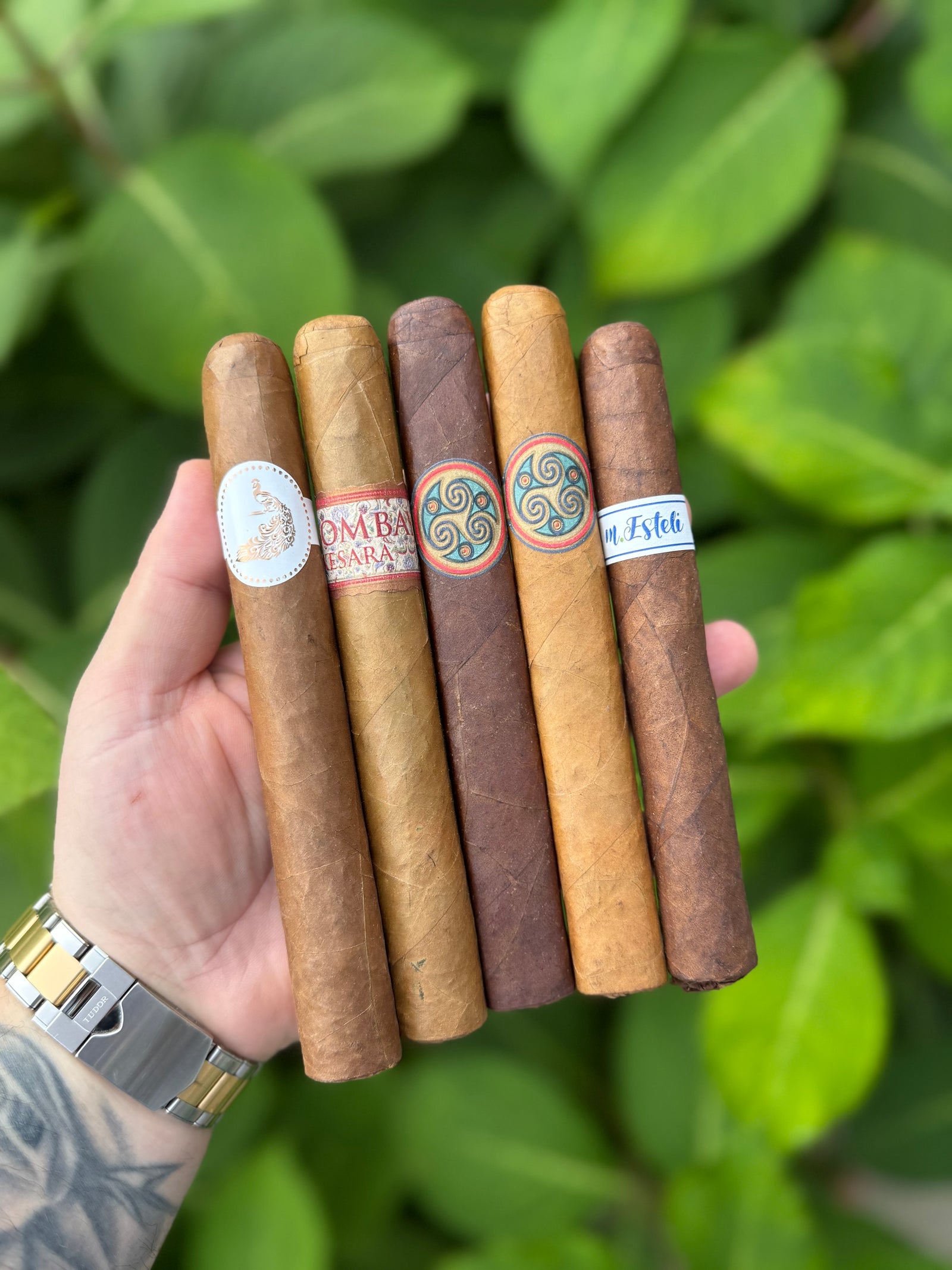 MBOMBAY Tasting Sampler