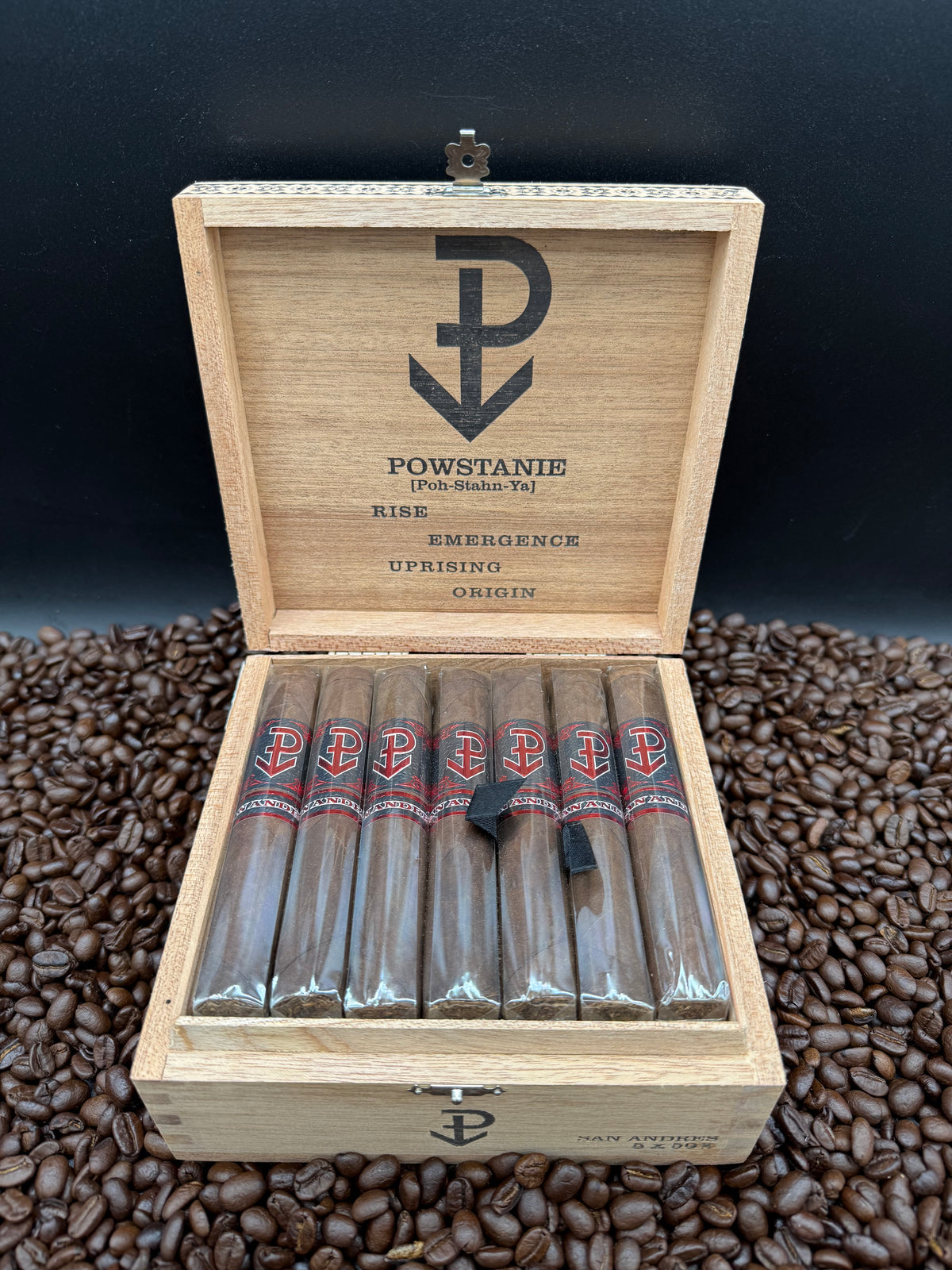 Powstanie - San Andres Robusto