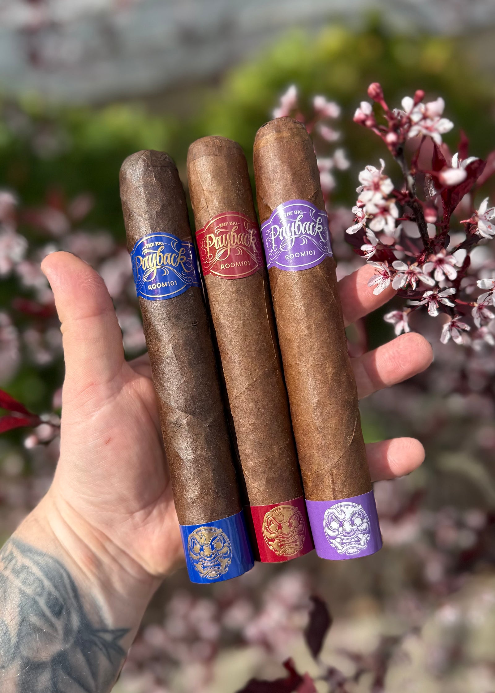 Room 101 - The Big Payback 770 Sampler