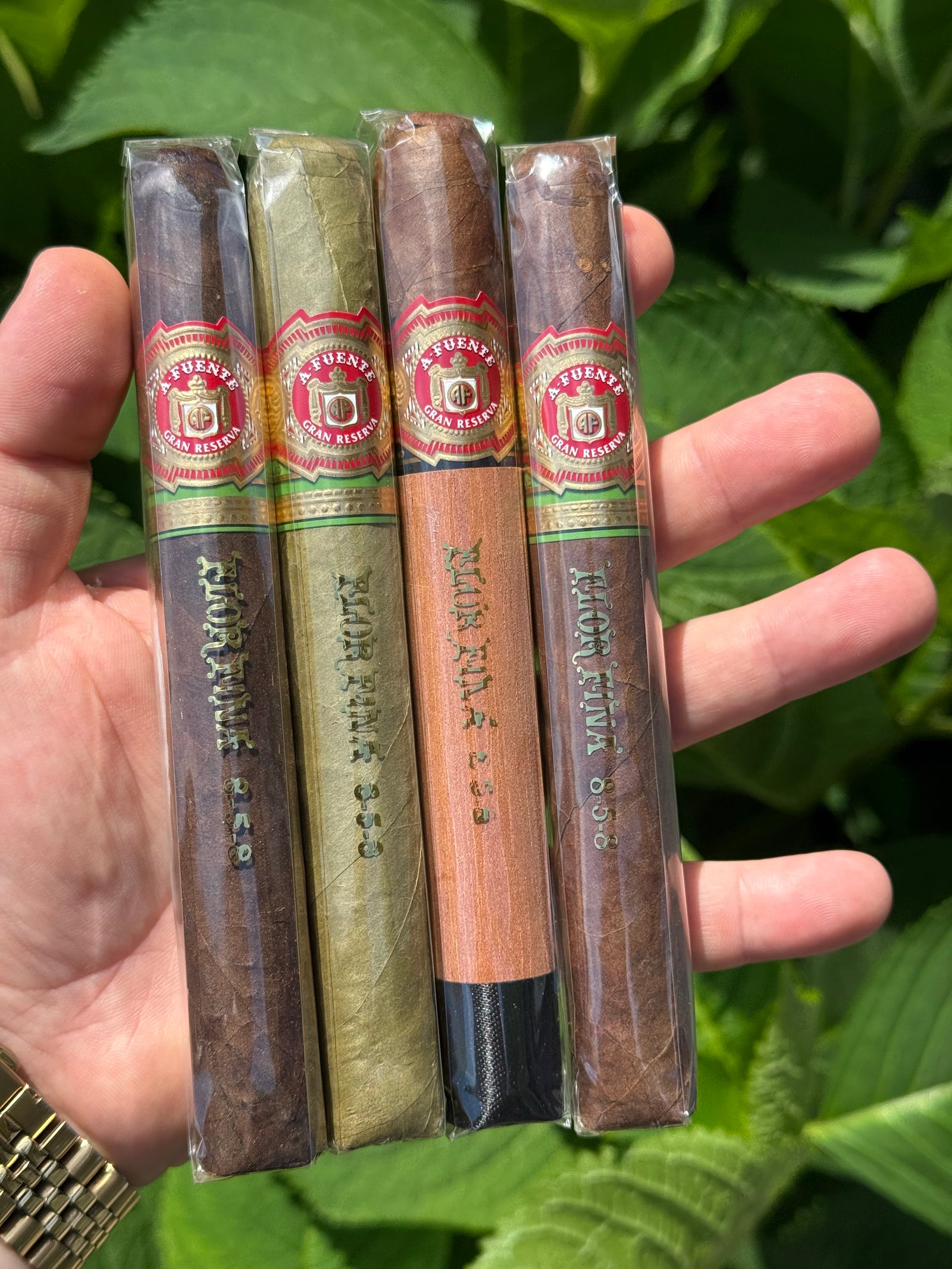 Arturo Fuente - Complete 858 Sampler