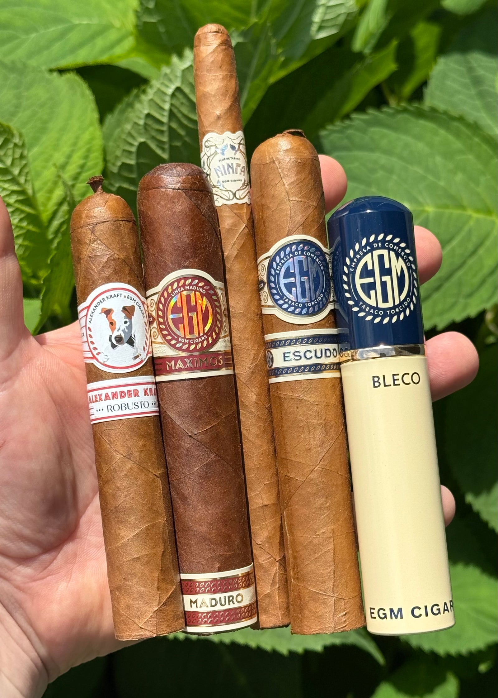 EGM Cigars Tasting Sampler