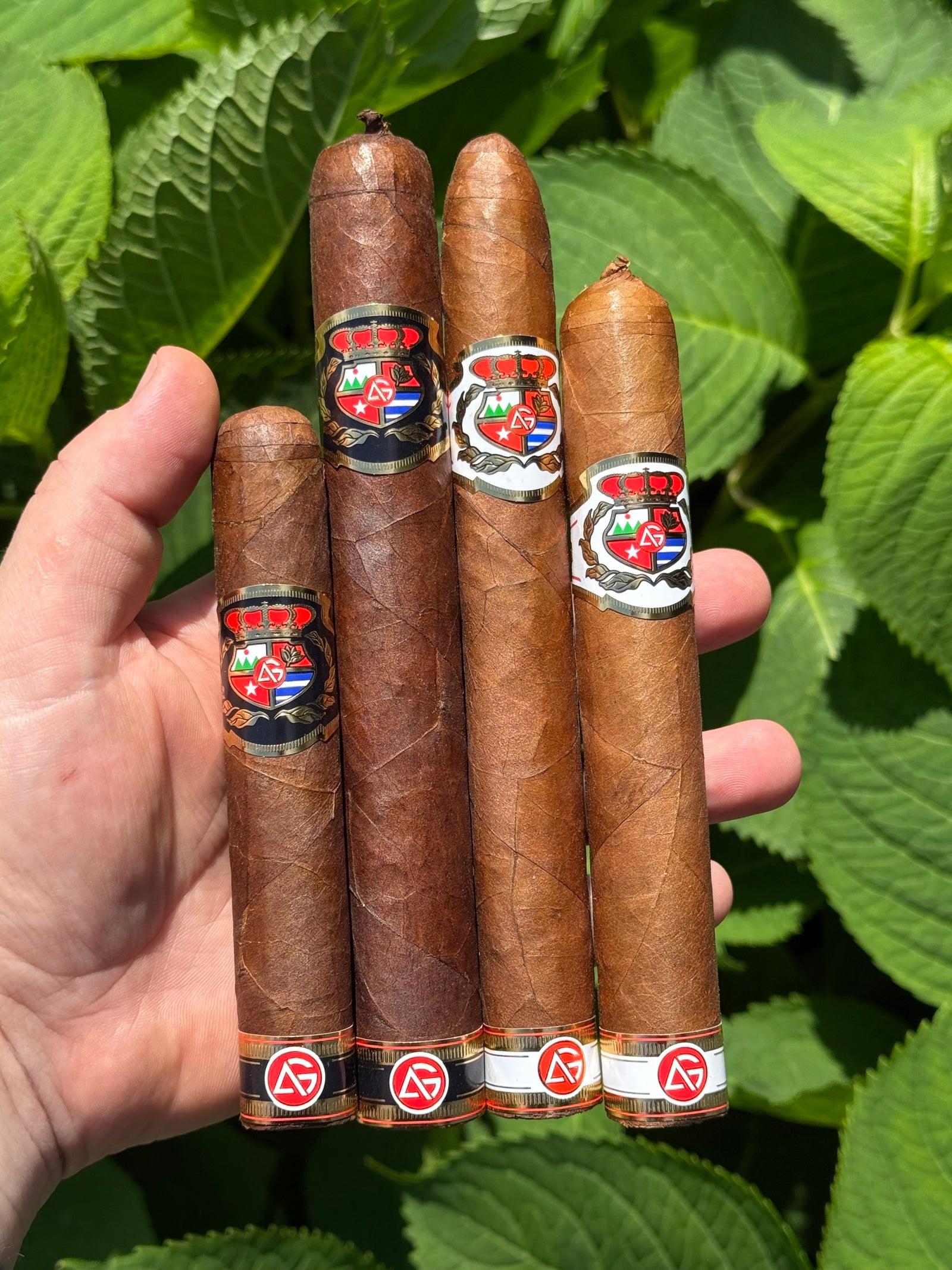 AG Cigars Tasting Sampler