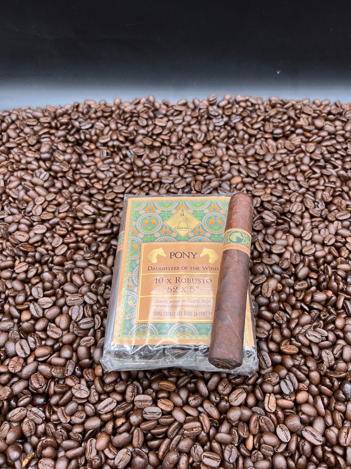 Casdagli - Daughters of the Wind &quot;The Pony&quot; Robusto
