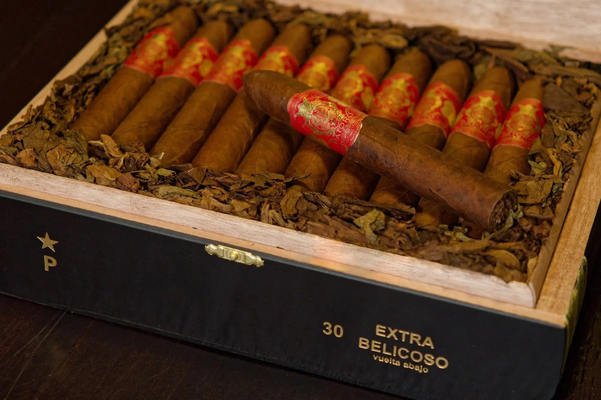 Patoro VA XO Extra Belicoso