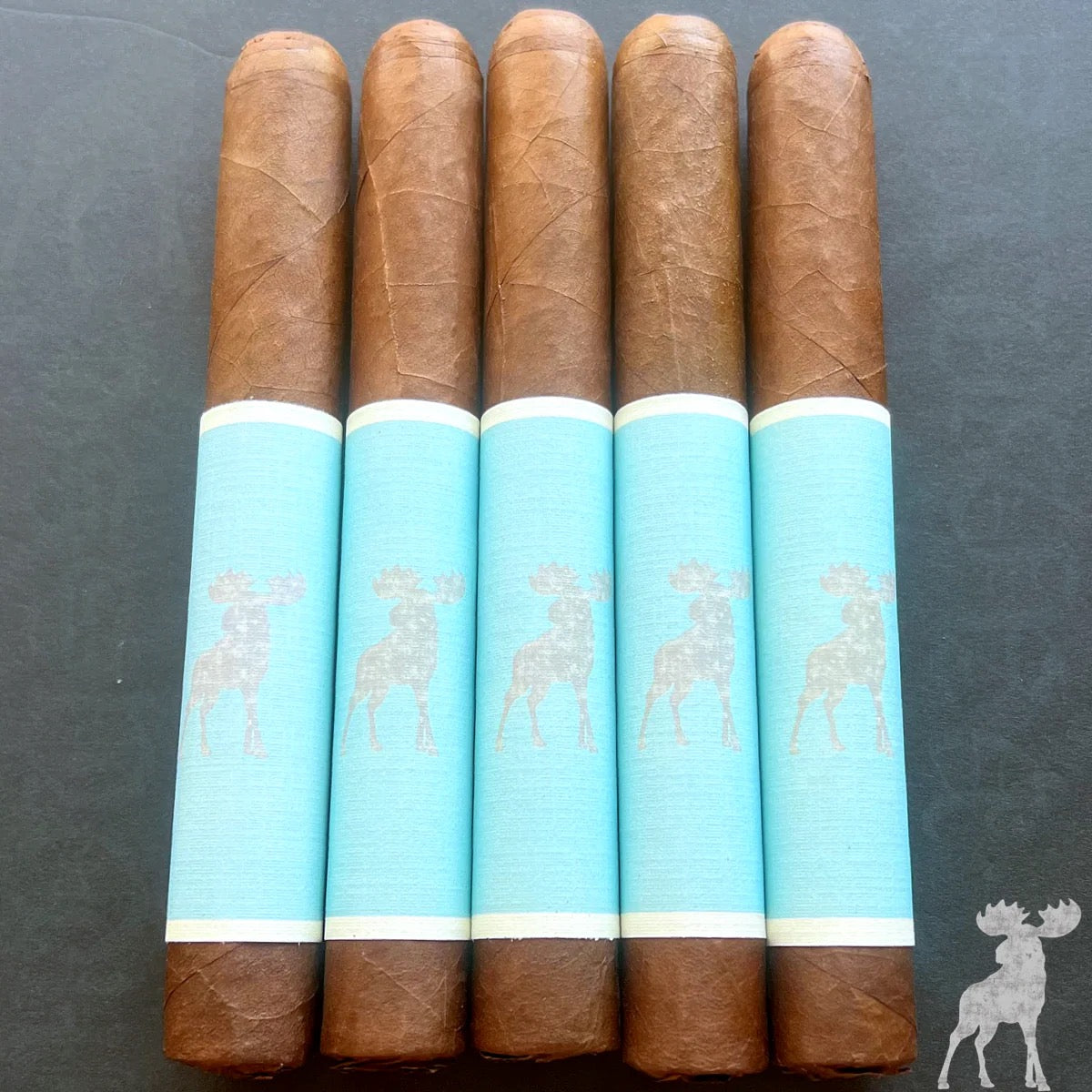 EZRA ZION/NOMAD - VANILLA MOOSE