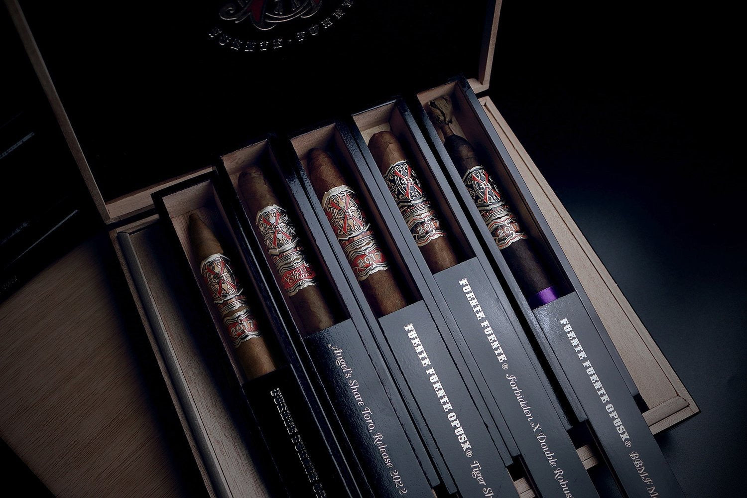 Opus X - Opus 22 2025 Release