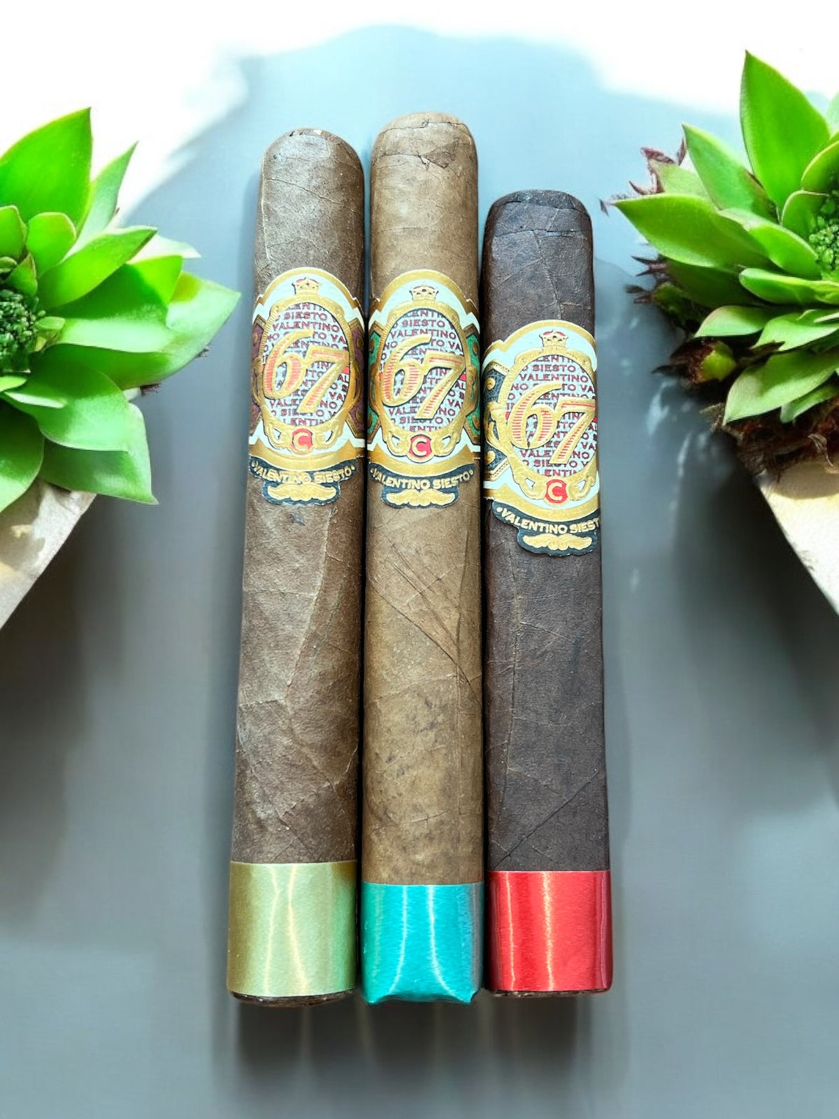 Valentino Siesto Tasting Sampler