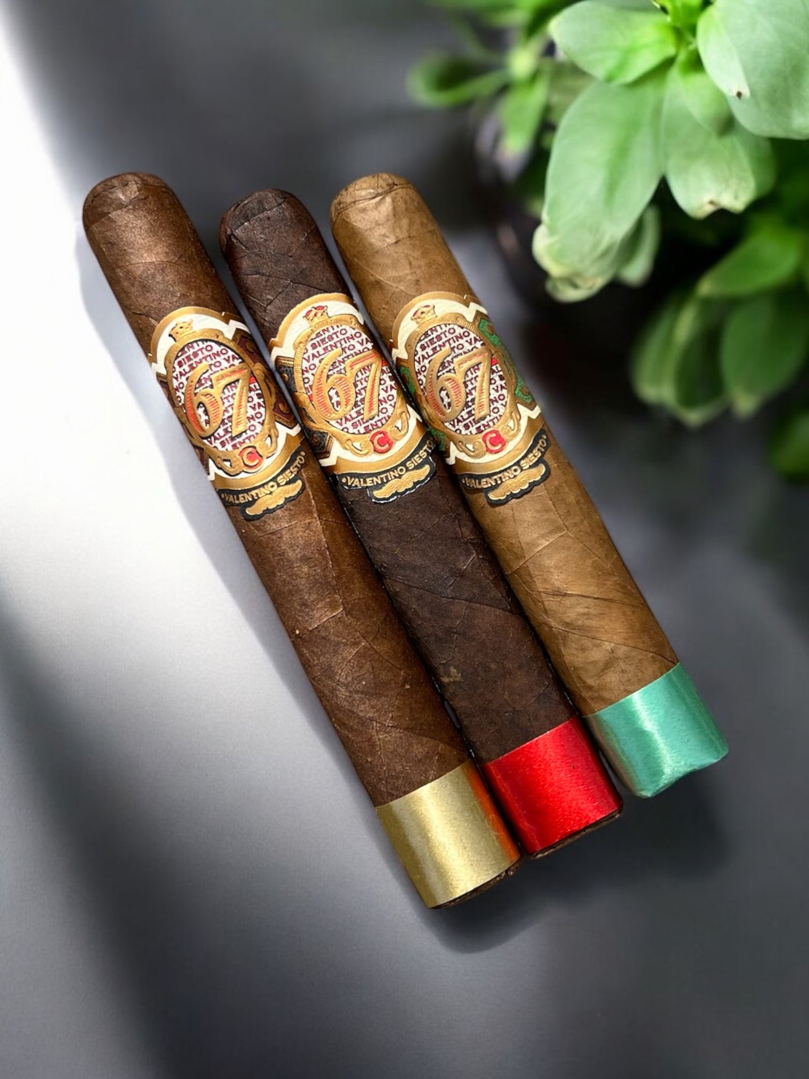 Valentino Siesto Tasting Sampler