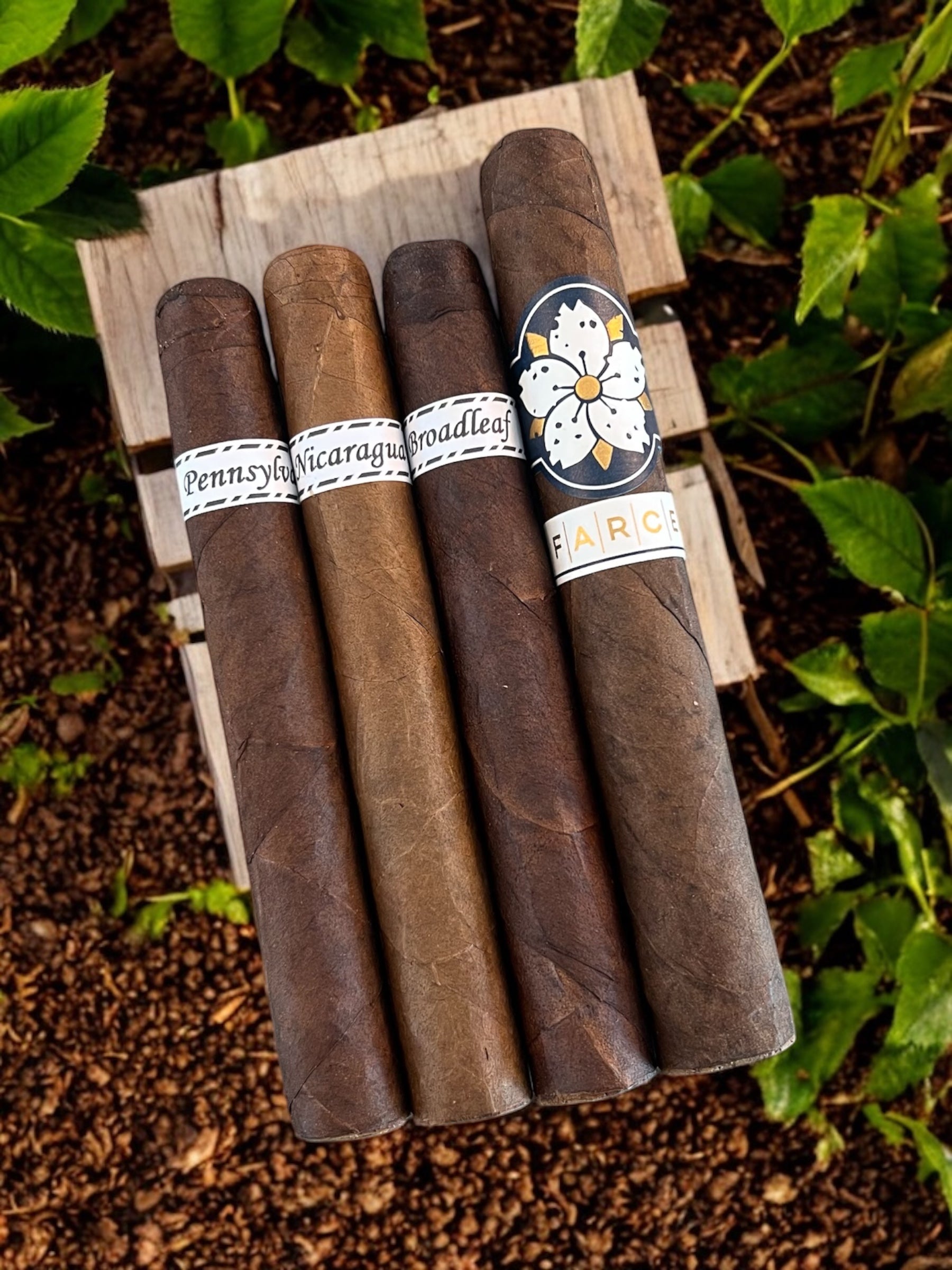 Room 101 - Farce Blend Dissection Sampler
