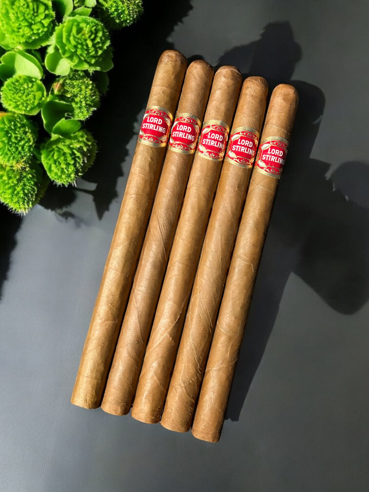 SLC Exclusive - Lord Stirling Lancero