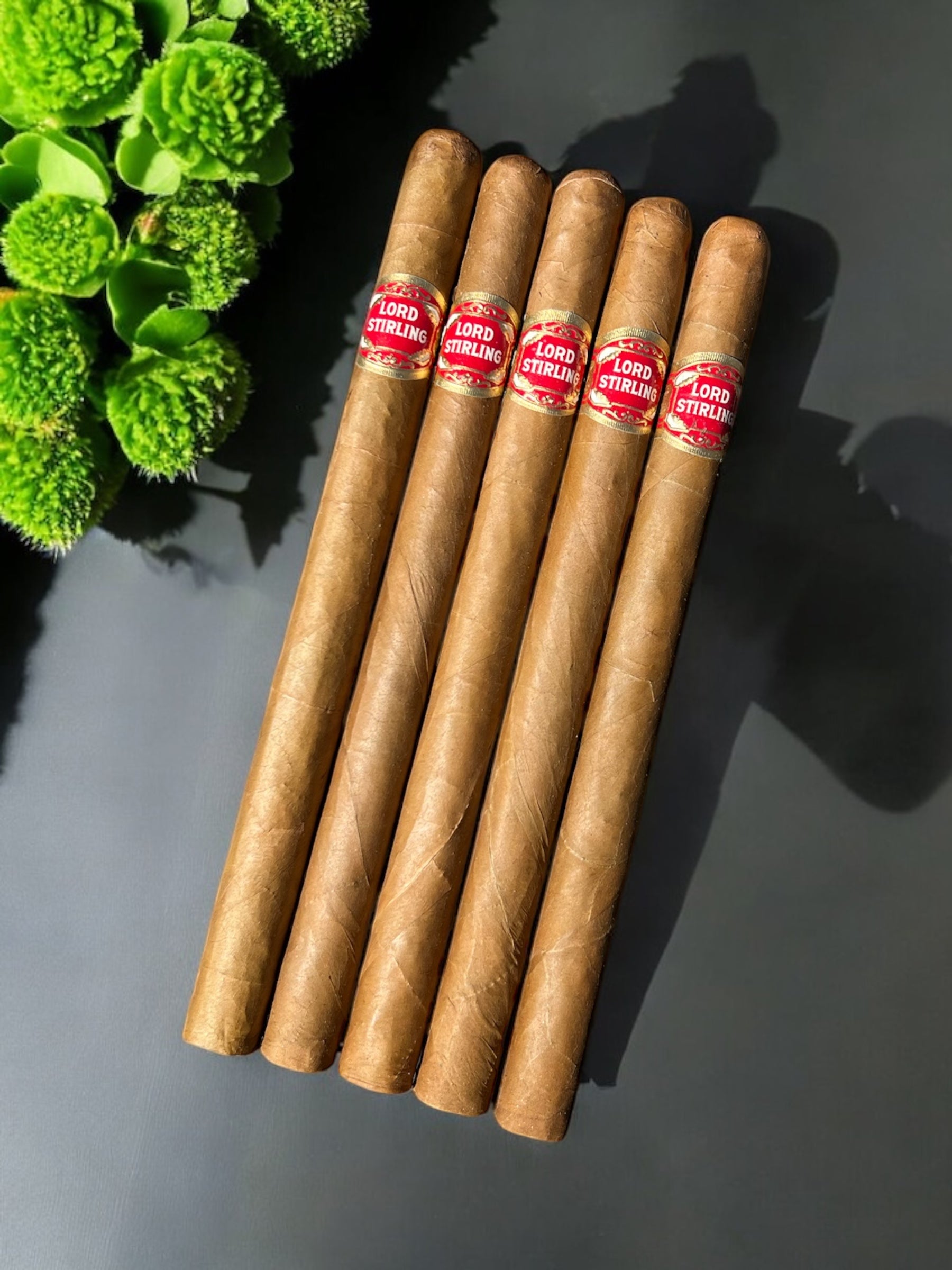 SLC Exclusive - Lord Stirling Lancero